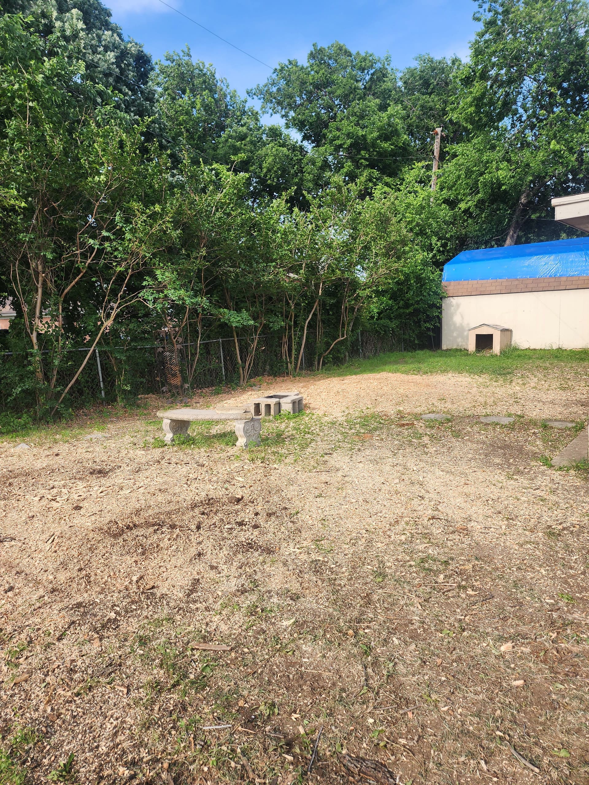 Gallery photos for Large Ash Tree Removal and Stump Grinding in Grand Prairie: Image #1