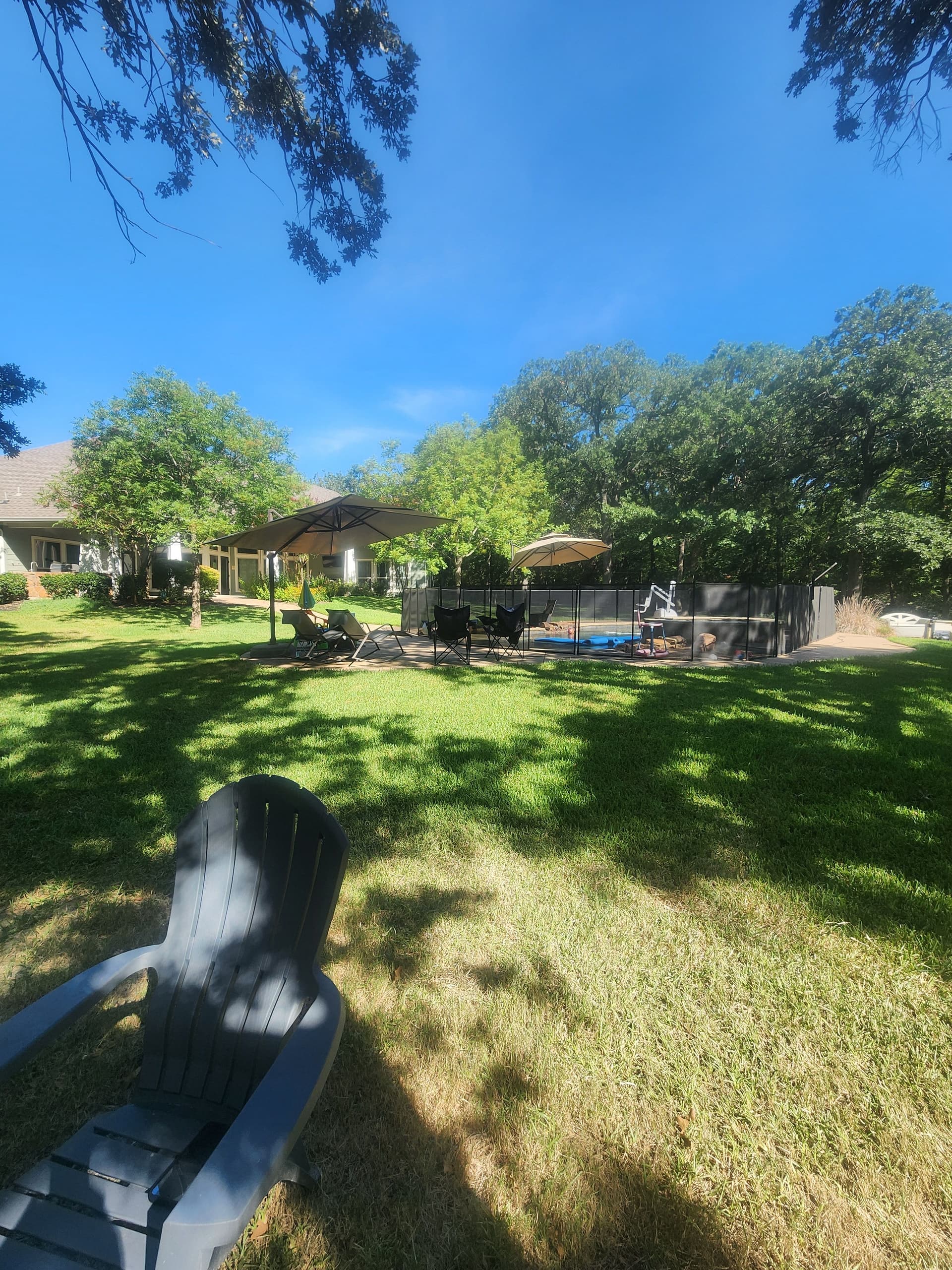 Gallery photos for 8 Dead Post Oaks Removed from Argyle Property: Image #1