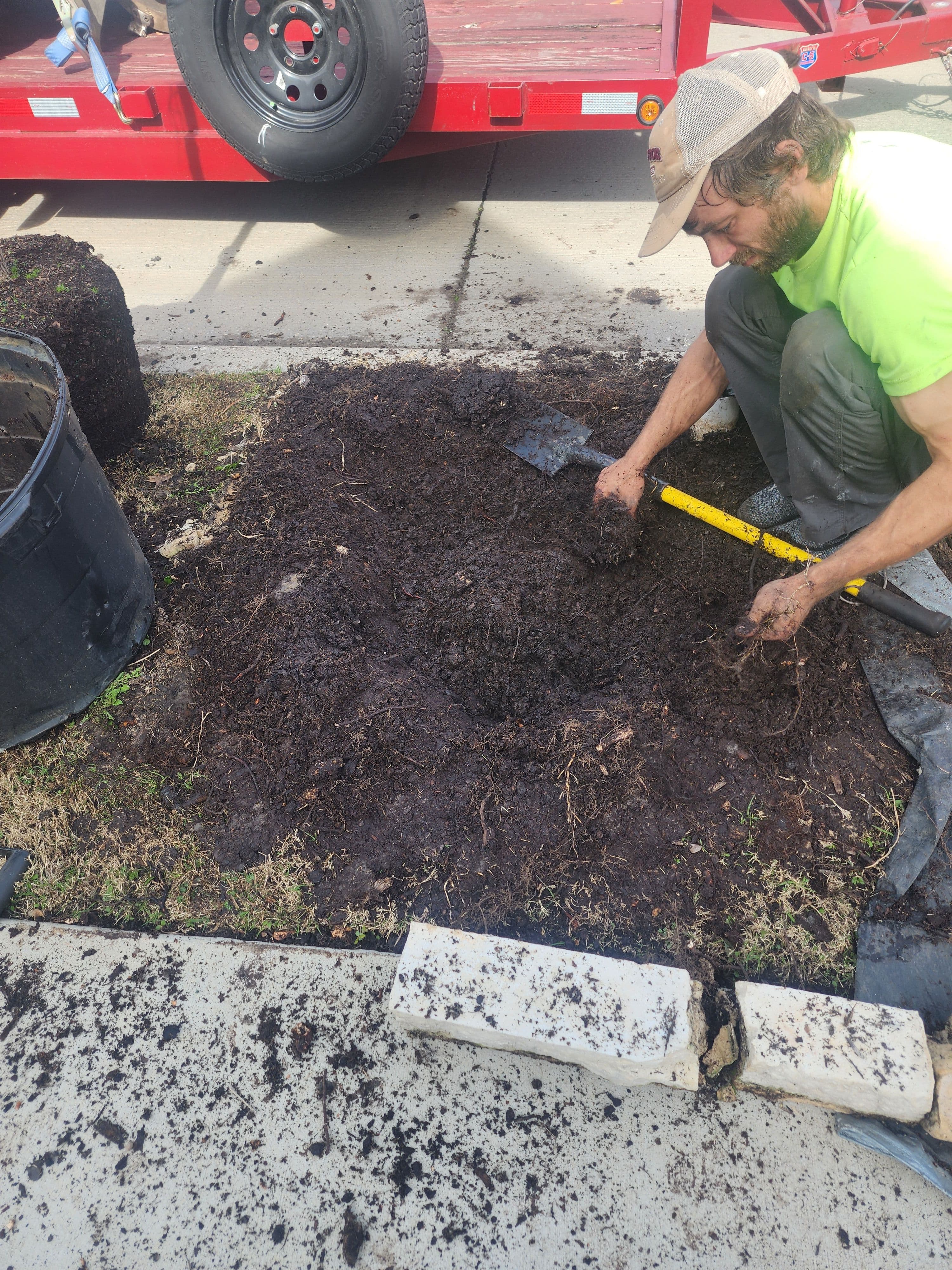 Project Tree Planting in Arlington: Welcoming a New Red Oak image