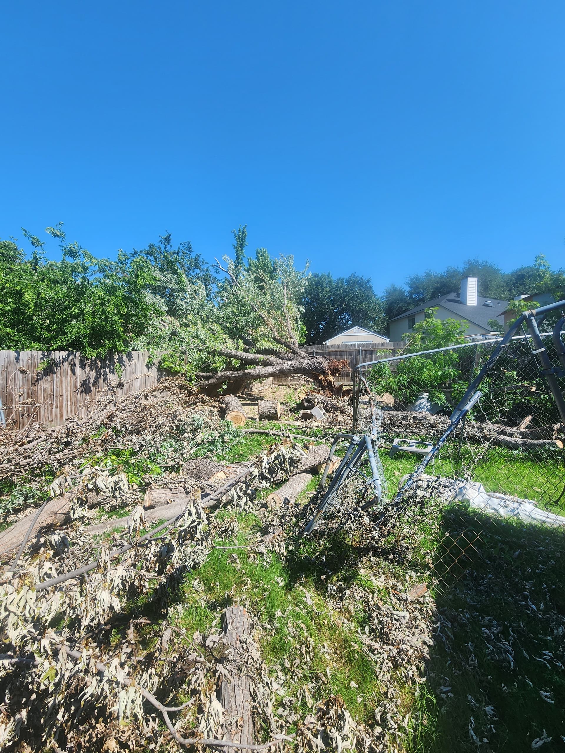 Gallery photos for Silver Maple Comes Down Hard on a Fence After Storm: Image #2