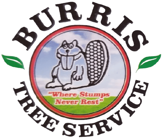 Burris Tree Service