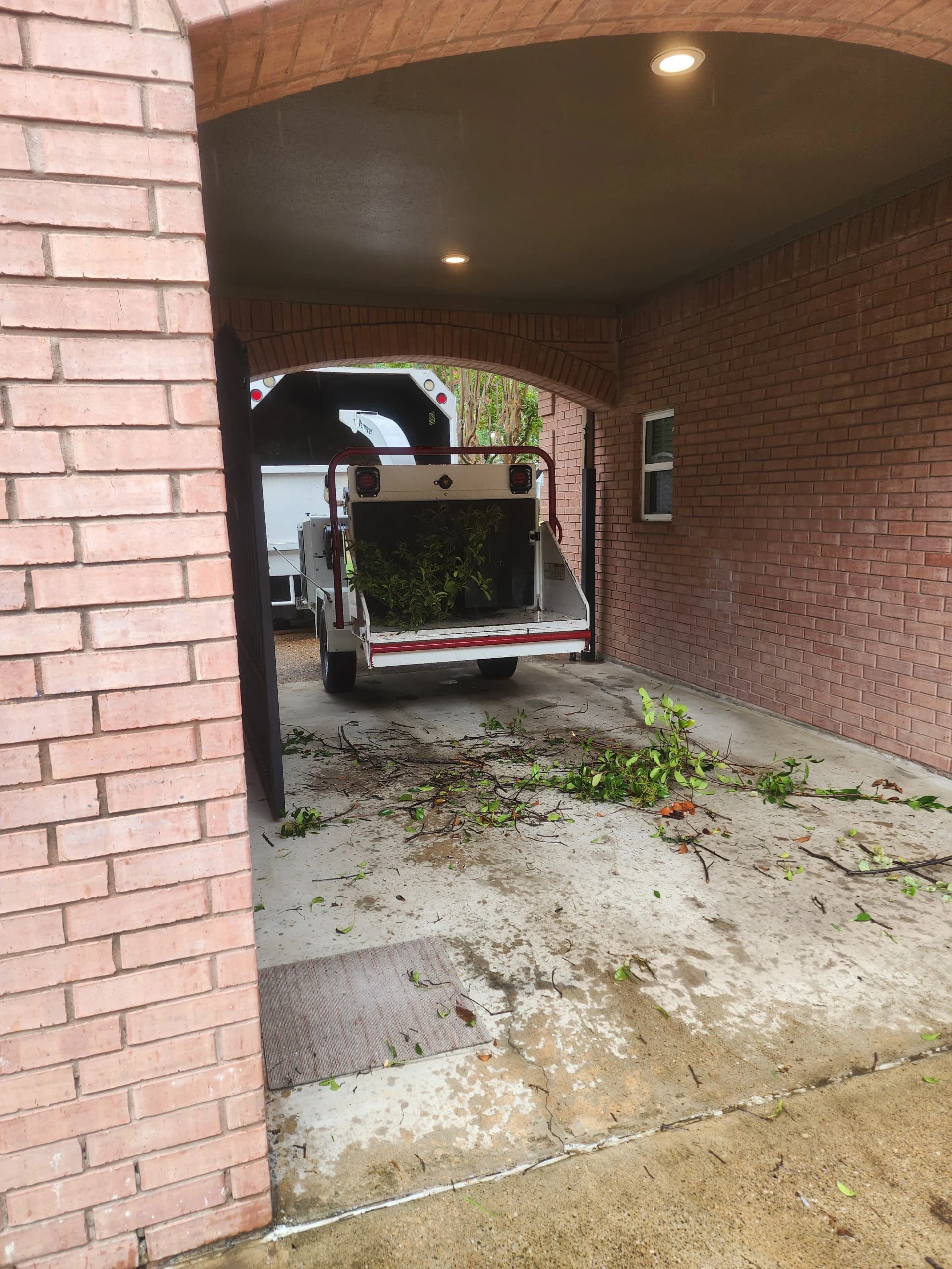 Gallery photos for Storm-Downed Trees and Overgrowth Cleared Down to the Ground: Image #3
