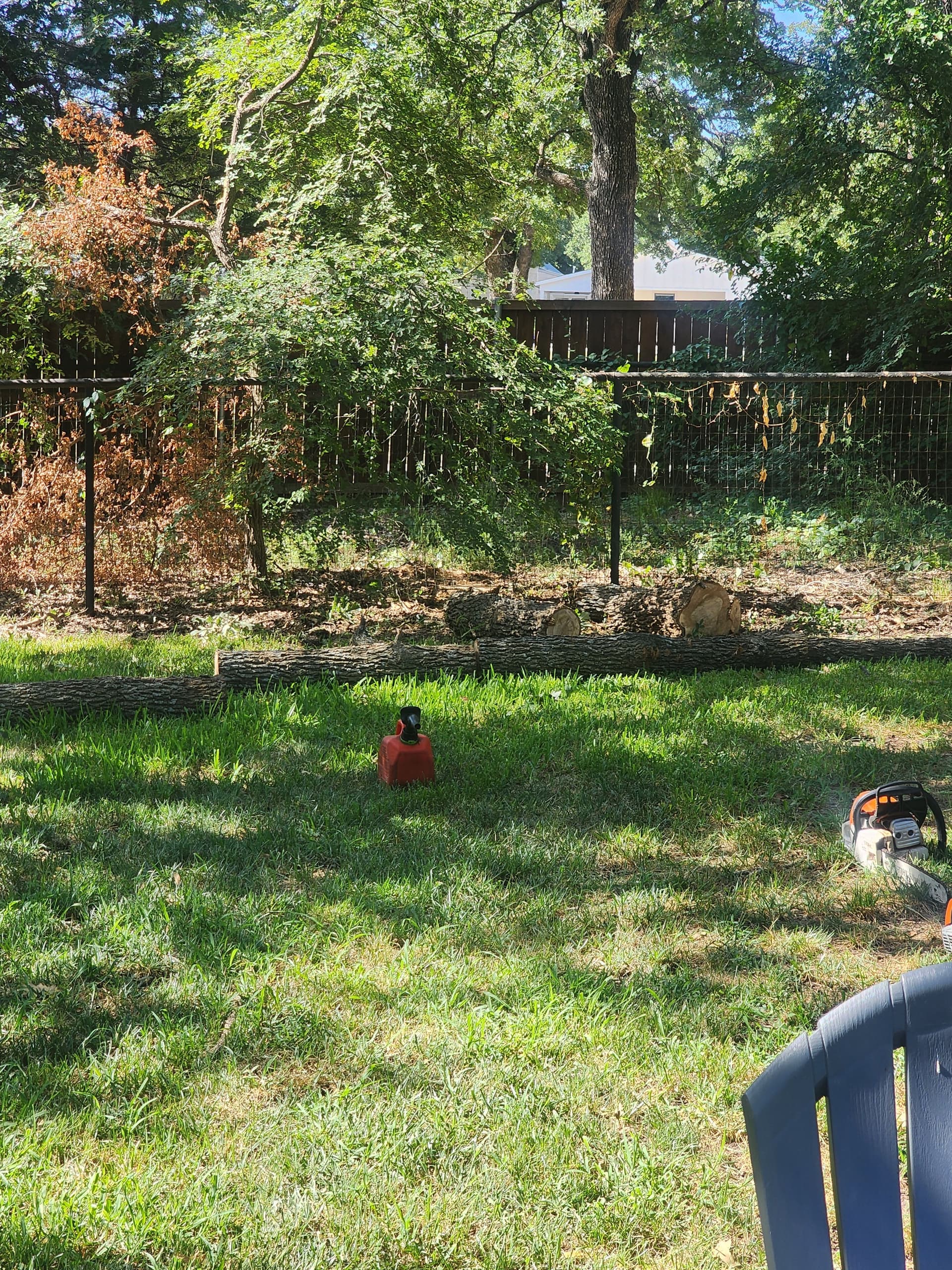 Gallery photos for 8 Dead Post Oaks Removed from Argyle Property: Image #2