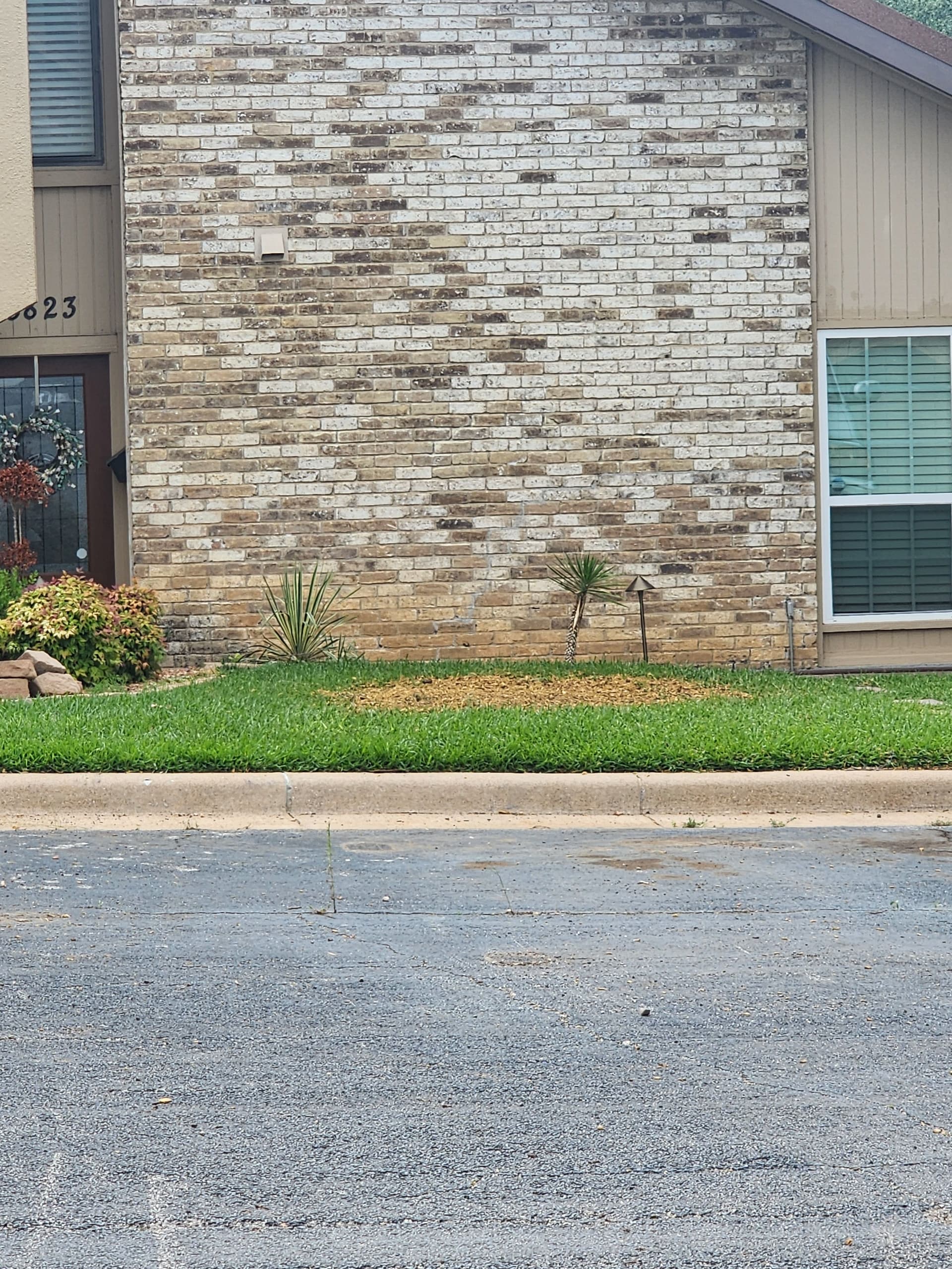 Gallery photos for 3 Trees Removed, 3 Stumps Ground - Property Left Clean: Image #3