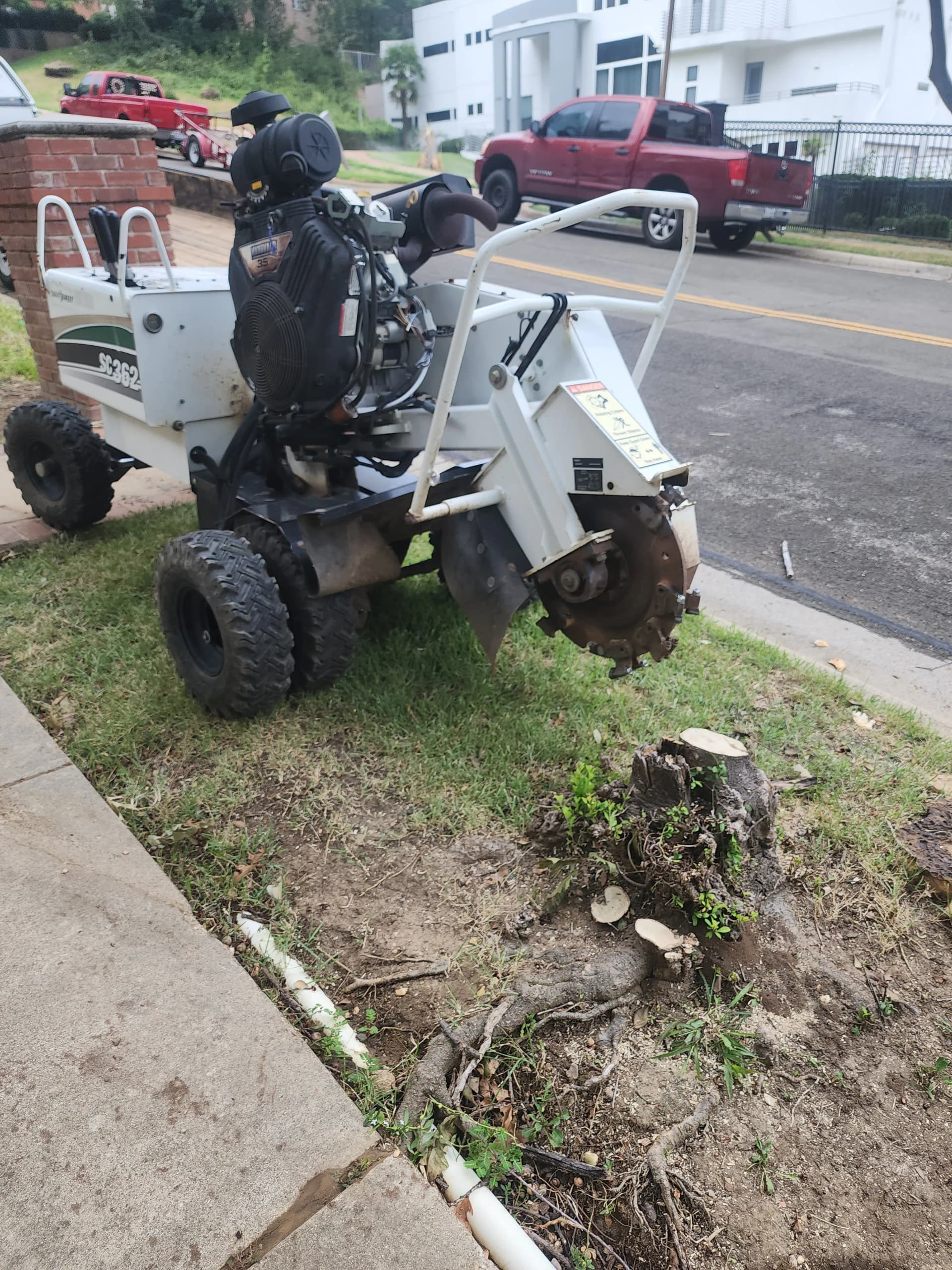 Gallery photos for Large Red Oak Removed and 3 Stumps Ground Out: Image #1