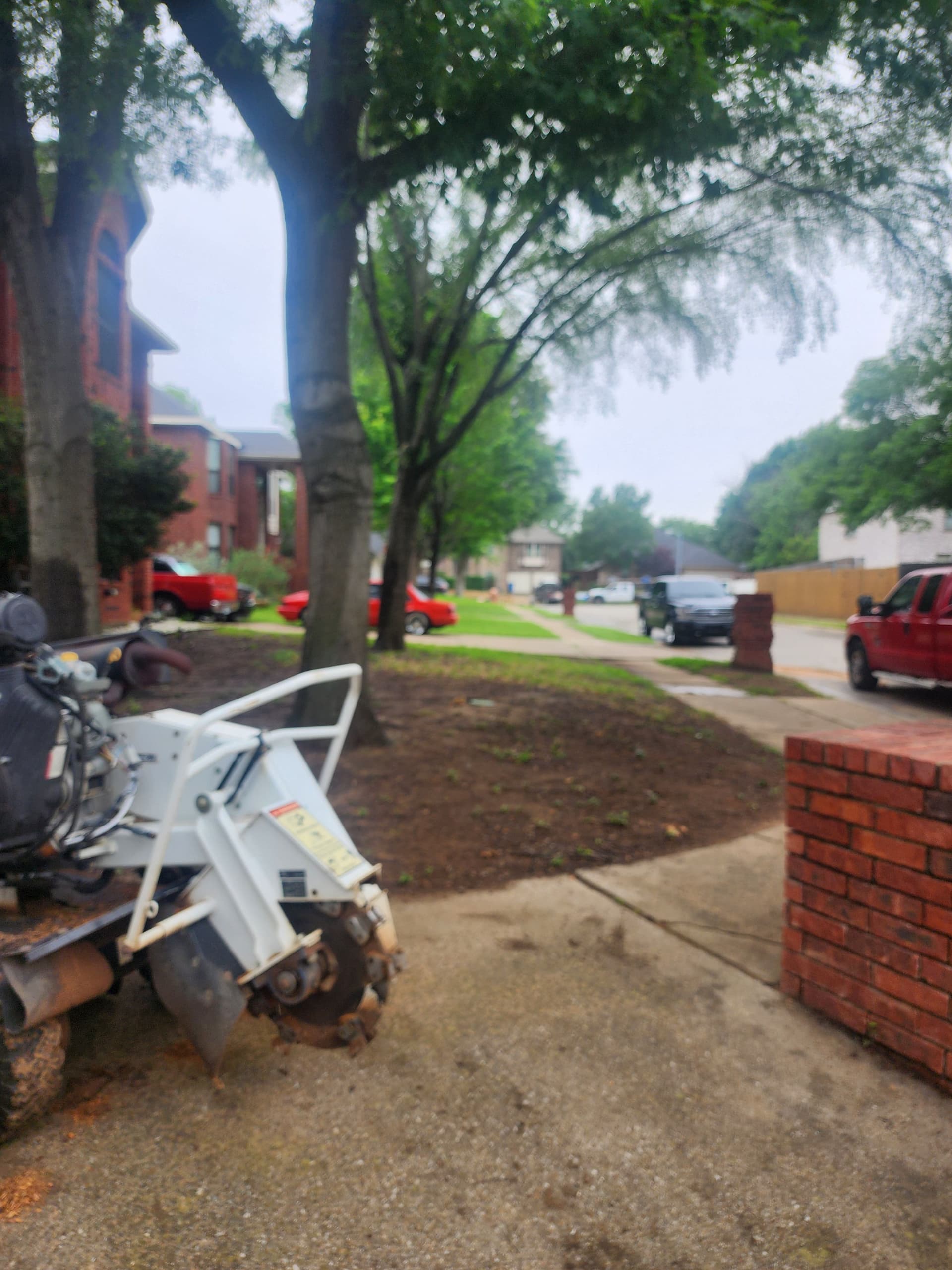 Gallery photos for Stump Grinding Done Right in Grapevine TX: Image #1