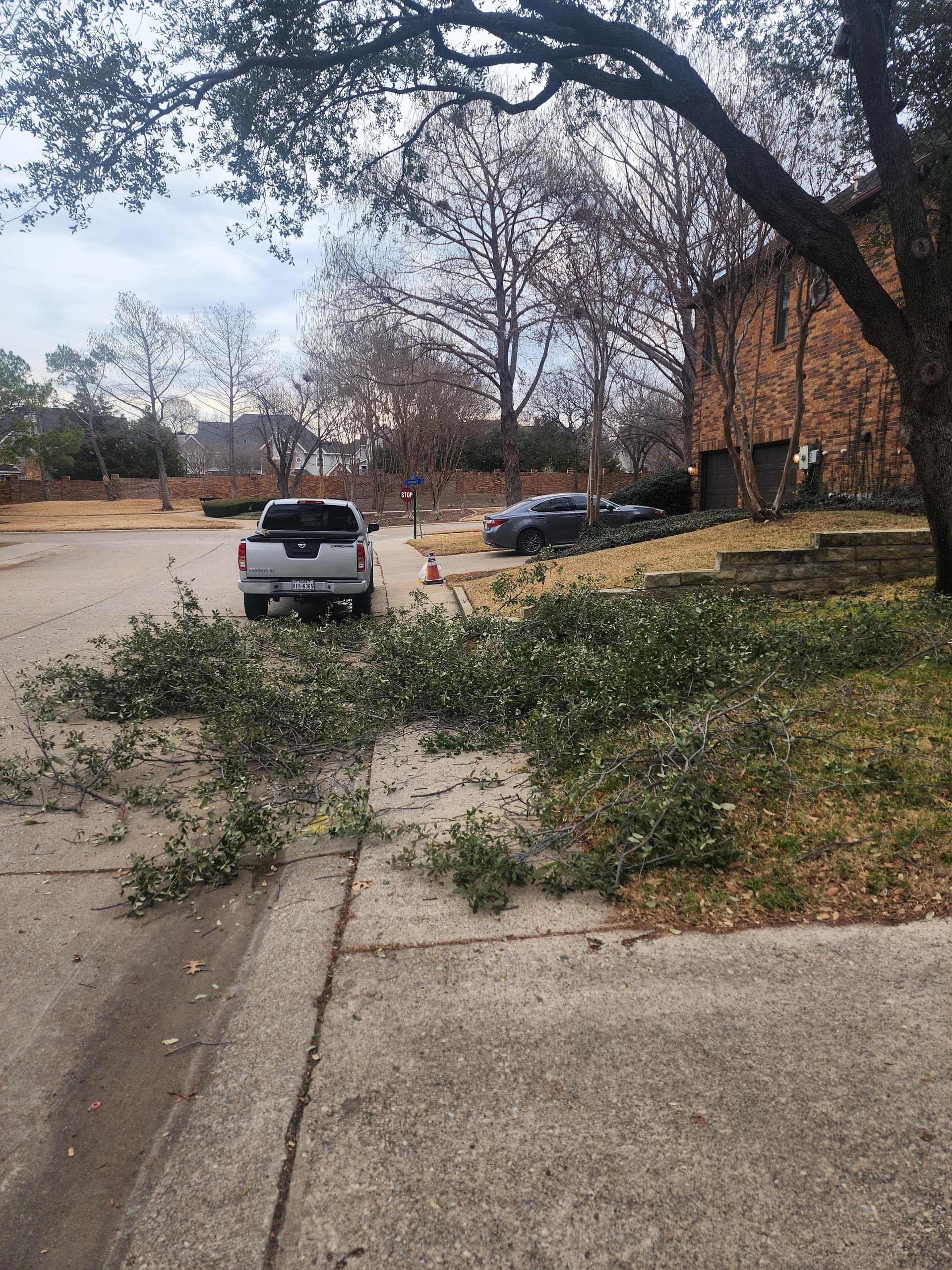 Gallery photos for Tree Trimming Mastery in Irving TX: Image #1