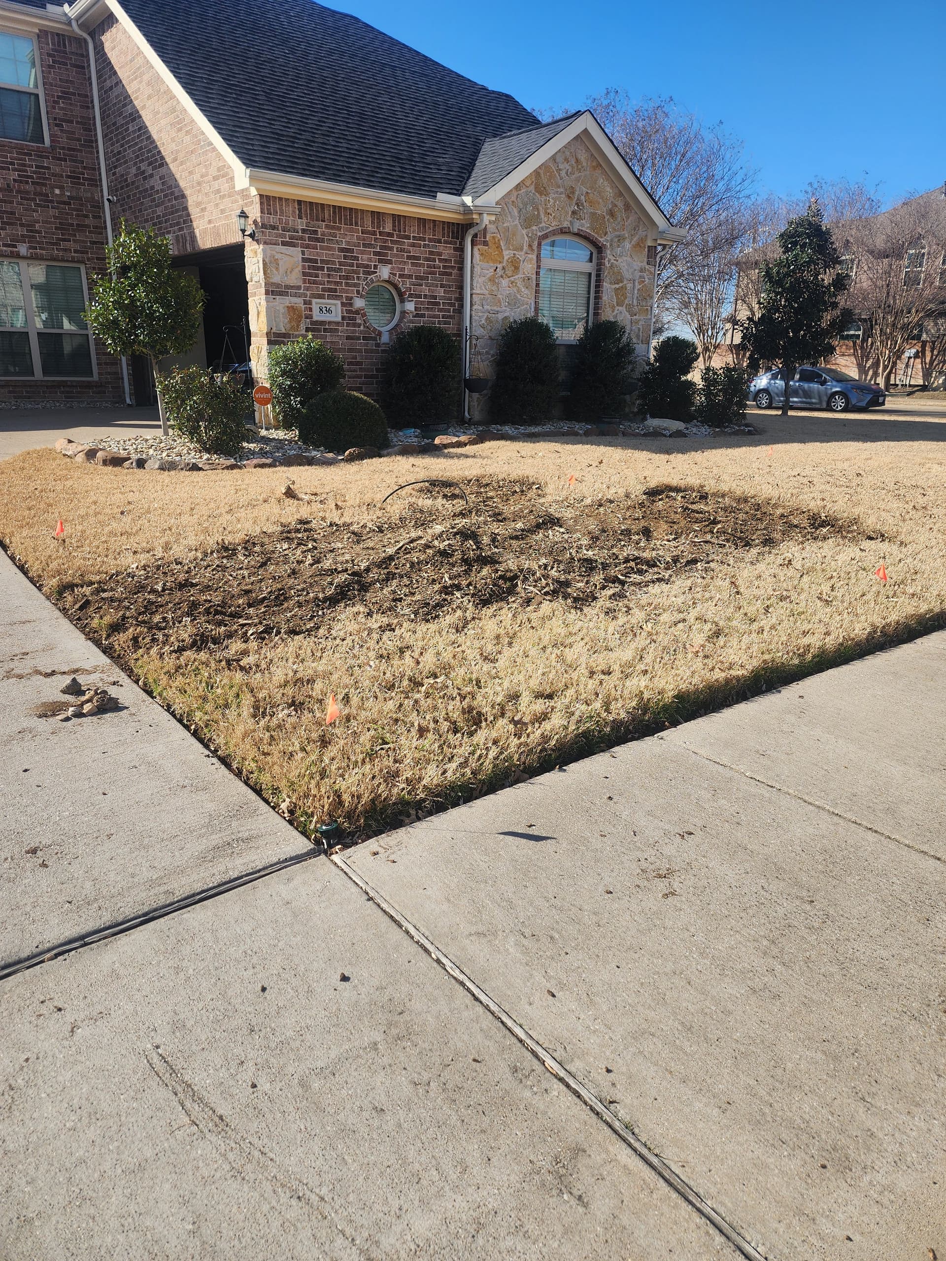 Gallery photos for Yard Preparation for Stump Grinding: Image #2