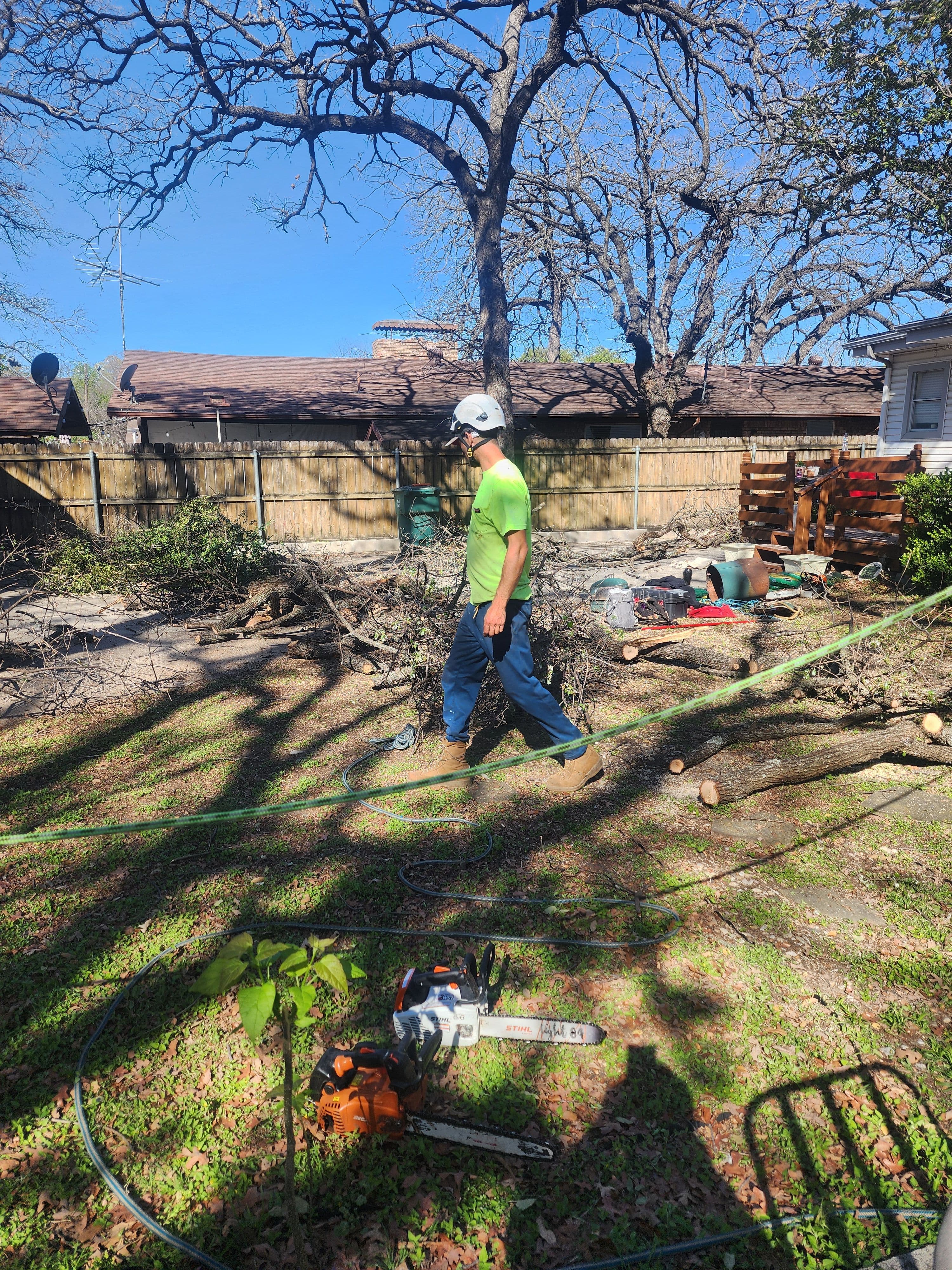 Project Tree Trimming Expertise in Fort Worth and Haltom City image