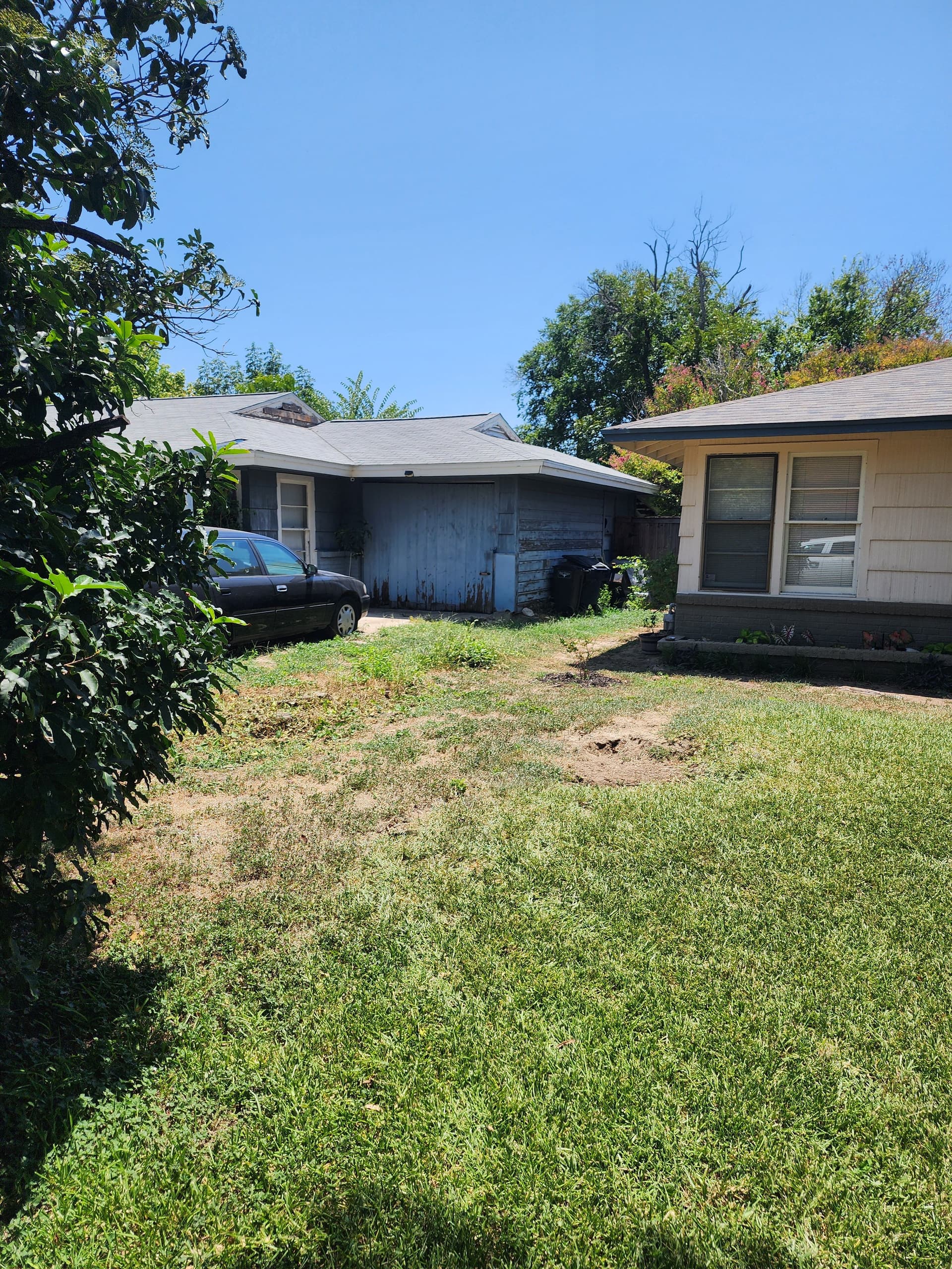 Gallery photos for Dead Limb Pruning Across 7 Trees in Fort Worth: Image #1