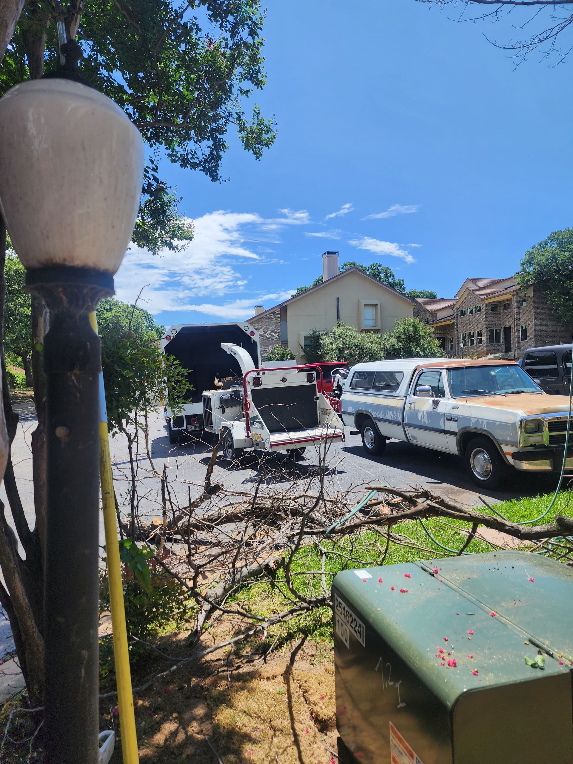 Gallery photos for 3 Trees Removed, 3 Stumps Ground - Property Left Clean: Image #1