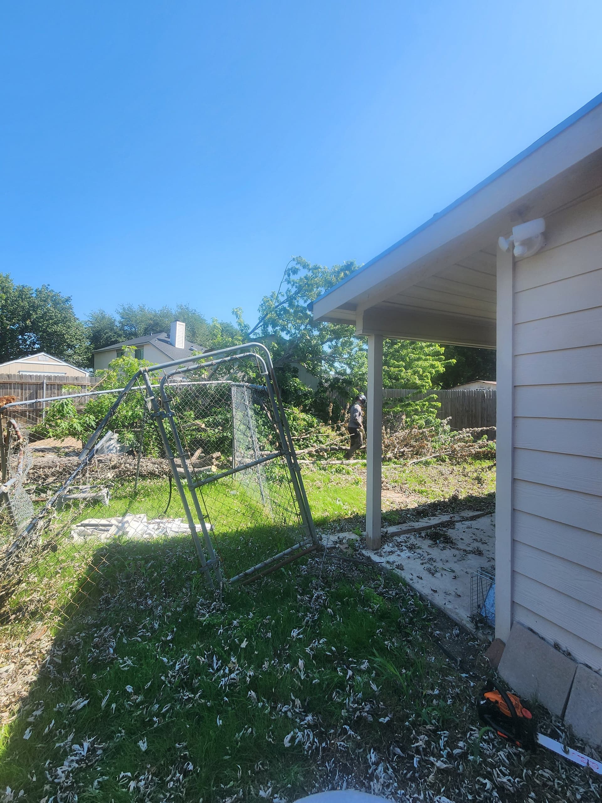 Gallery photos for Silver Maple Comes Down Hard on a Fence After Storm: Image #1