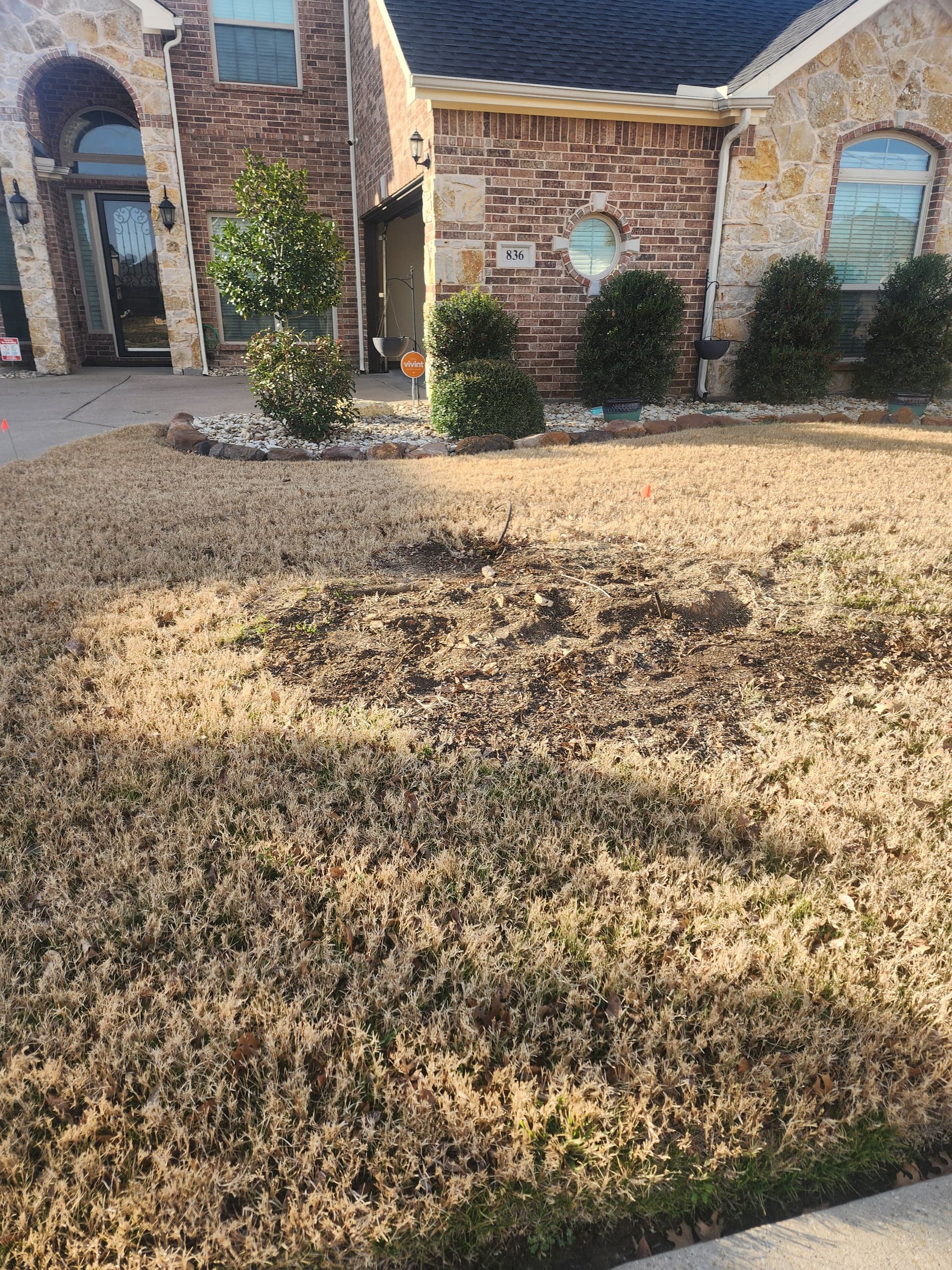 Gallery photos for Yard Preparation for Stump Grinding: Image #1