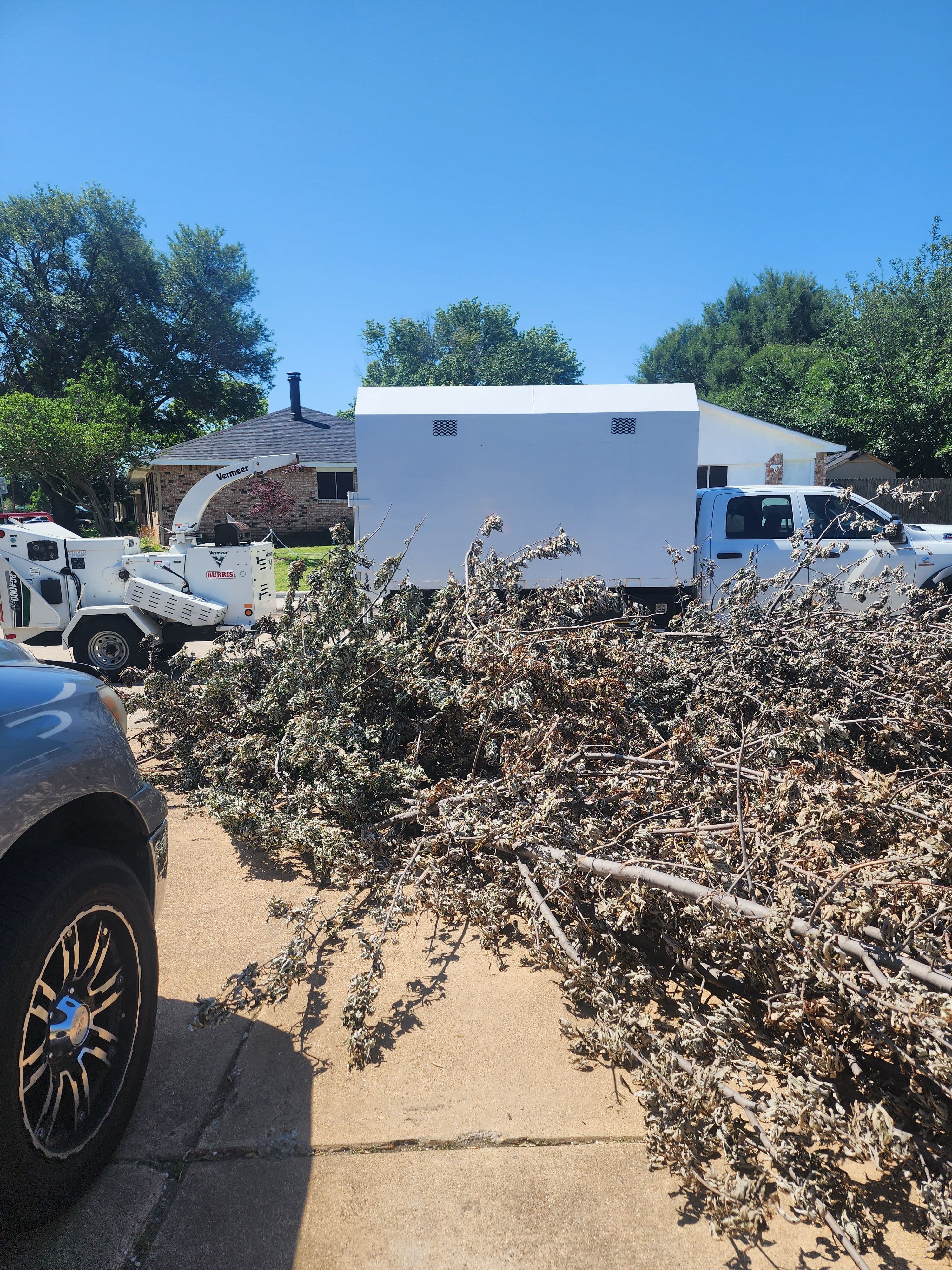 Project Silver Maple Comes Down Hard on a Fence After Storm image