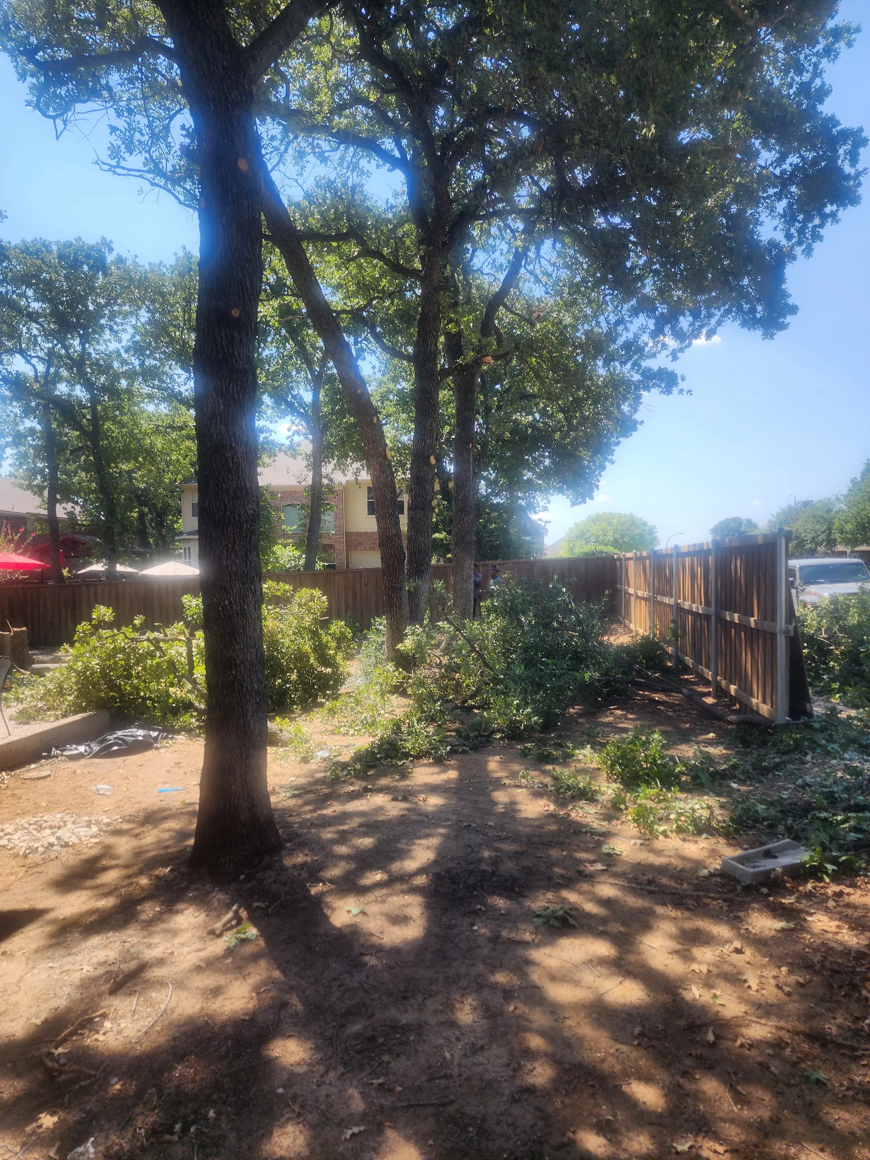 Project 12 Post Oaks Removed, Stumps Ground, Property Cleared Clean image