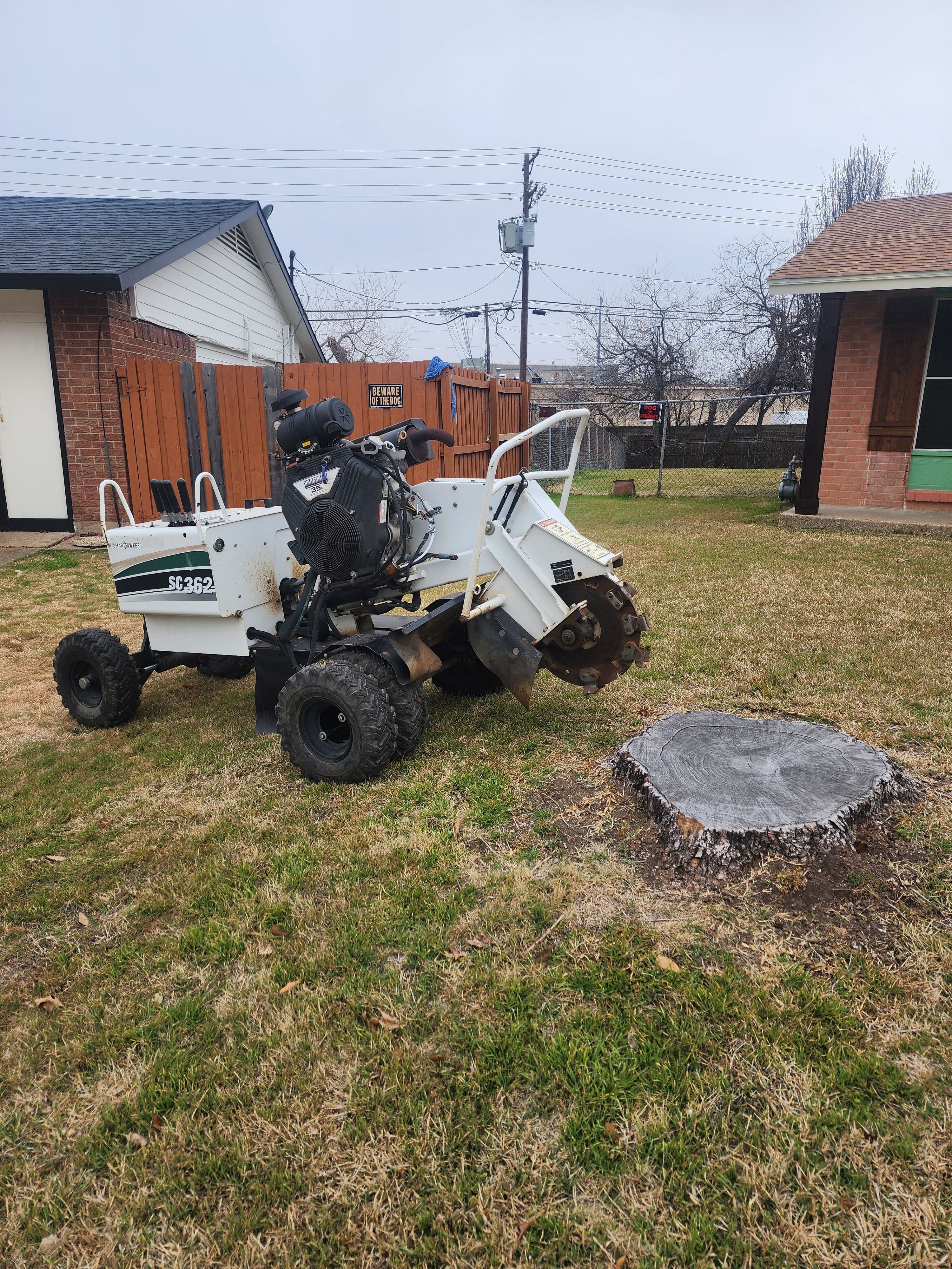 Project Stump Grinding Mastery in Action image