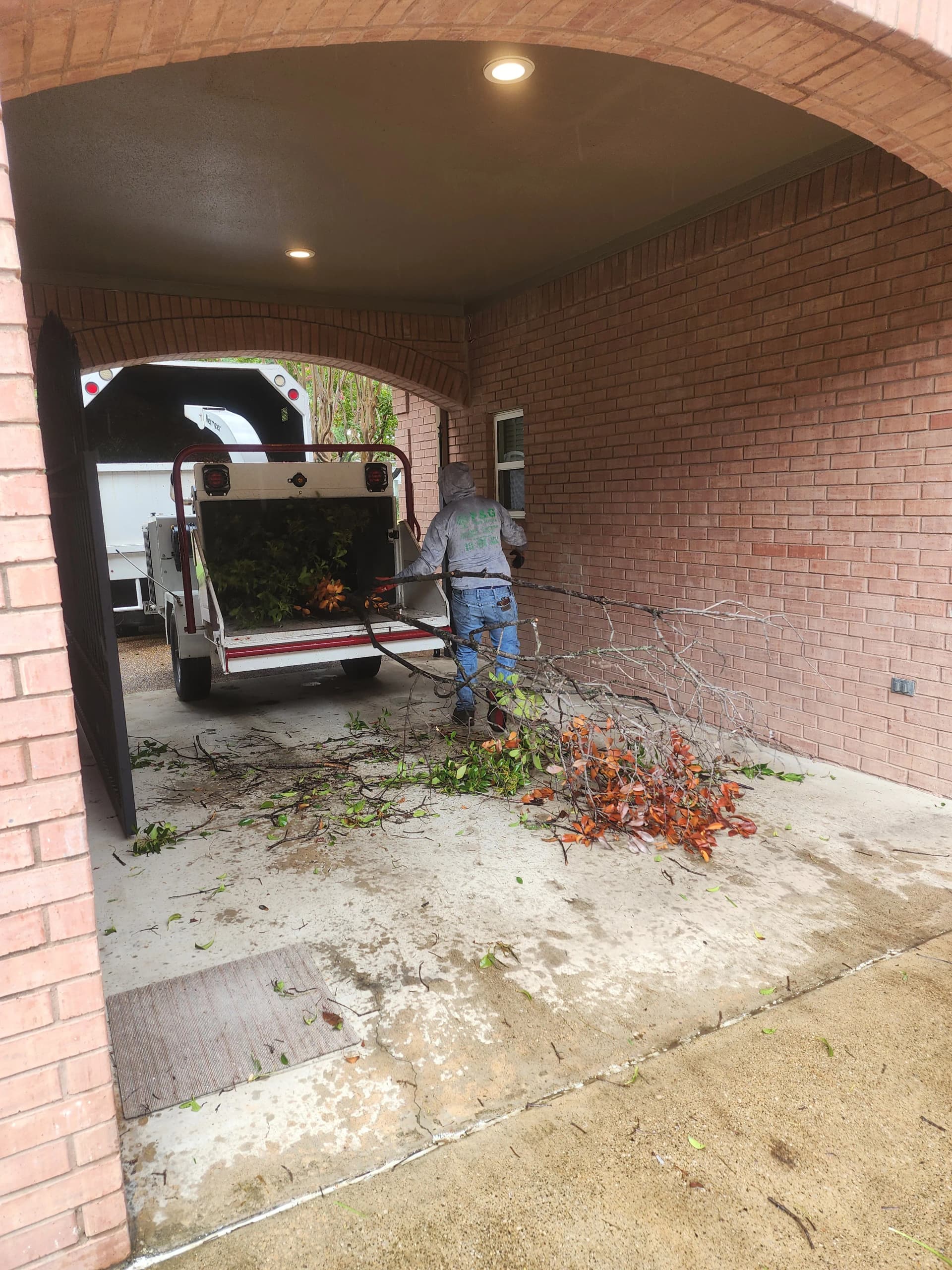 Gallery photos for Storm-Downed Trees and Overgrowth Cleared Down to the Ground: Image #2