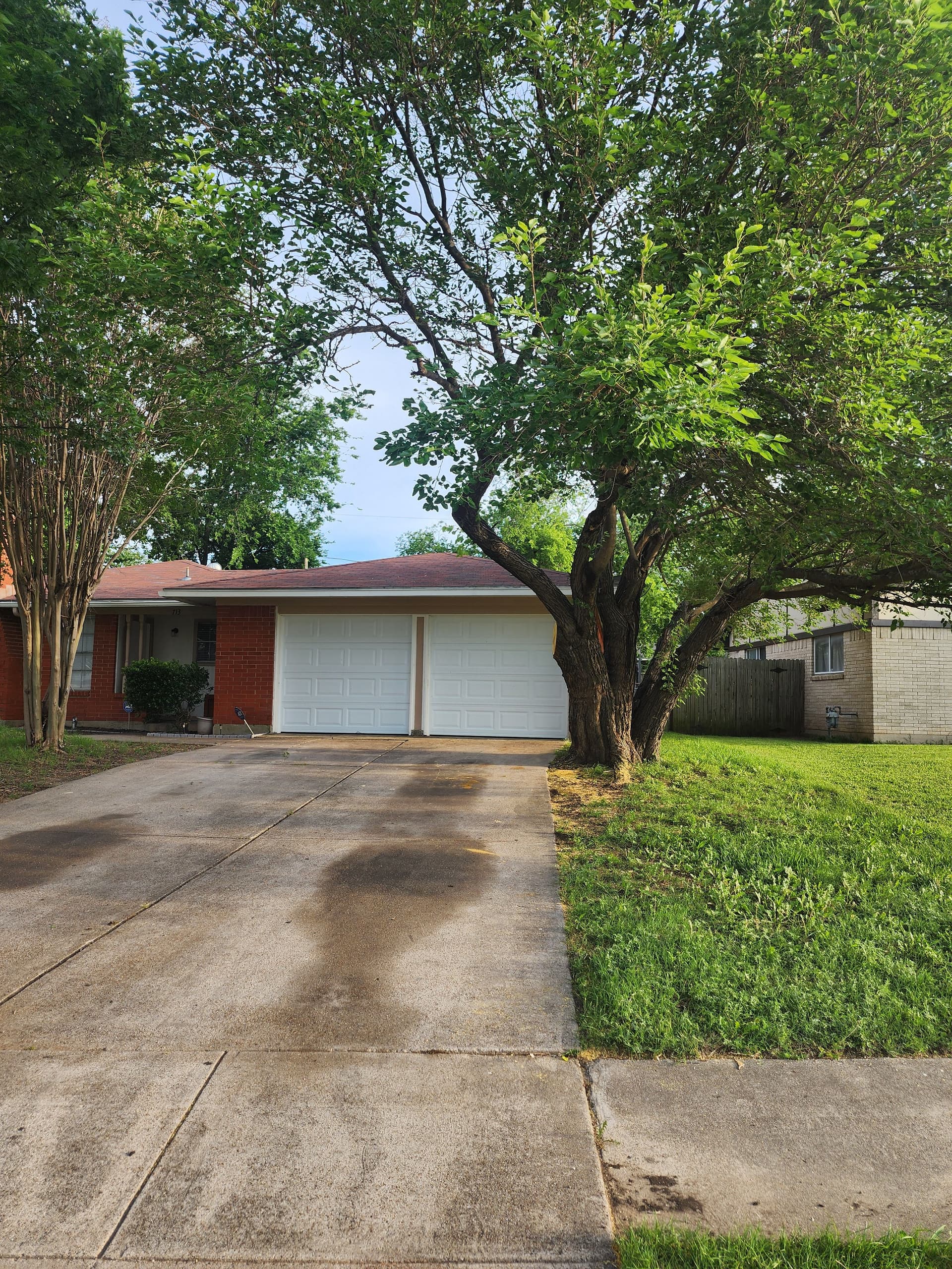 Gallery photos for Large Ash Tree Removal and Stump Grinding in Grand Prairie: Image #3