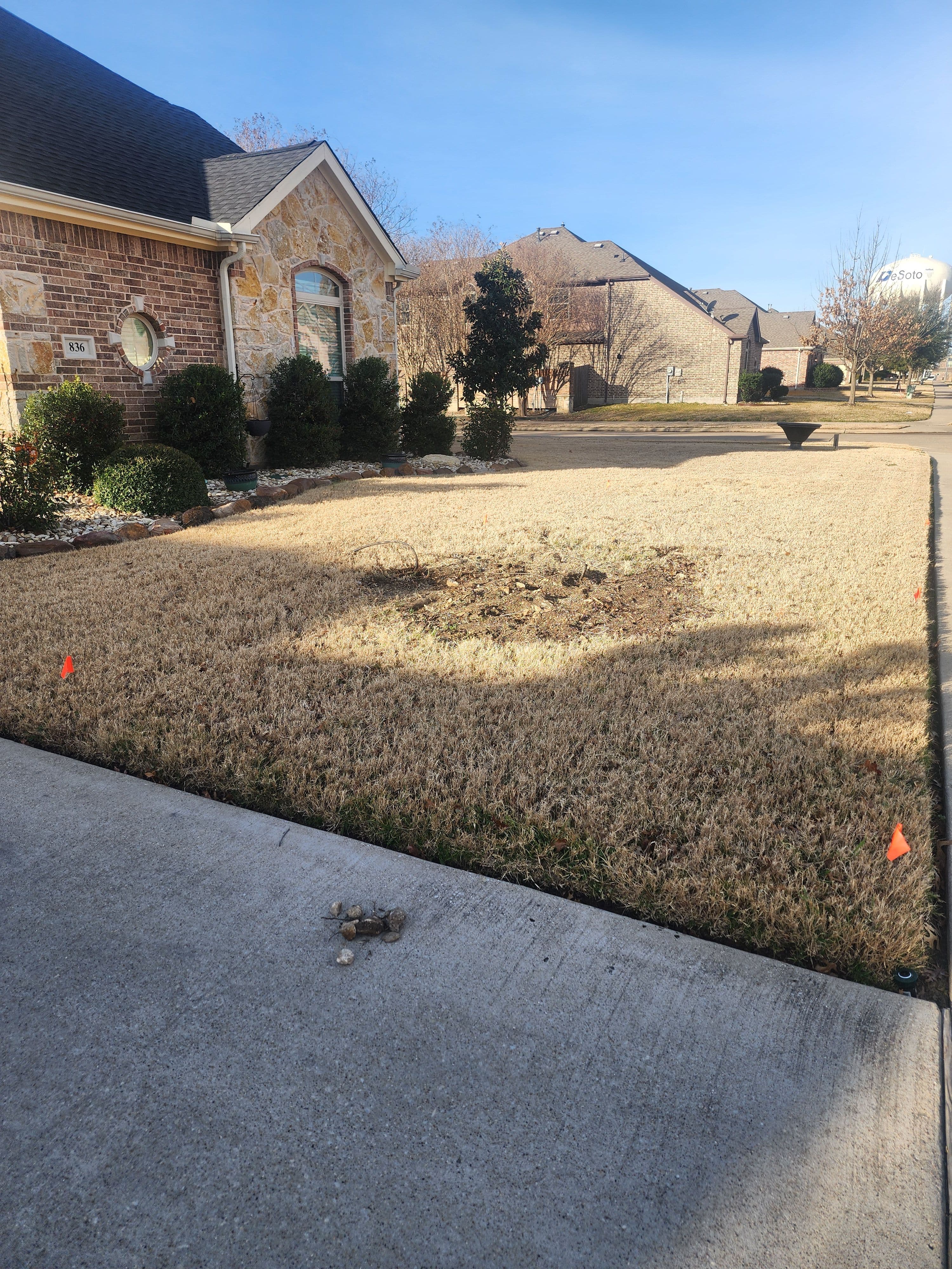 Project Yard Preparation for Stump Grinding image