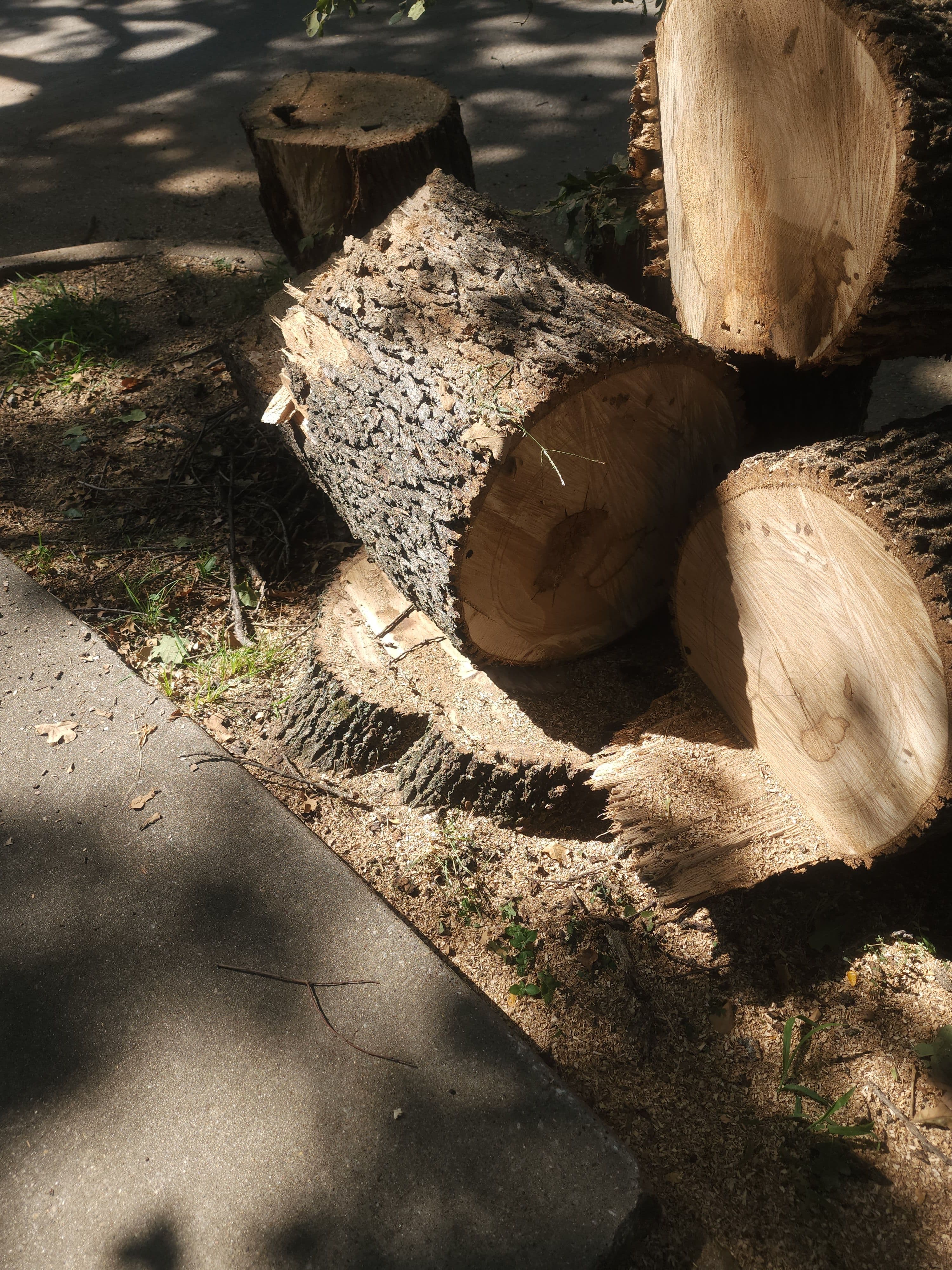 Project Post Oak Trimmed Back From the Roofline - City Code Handled image