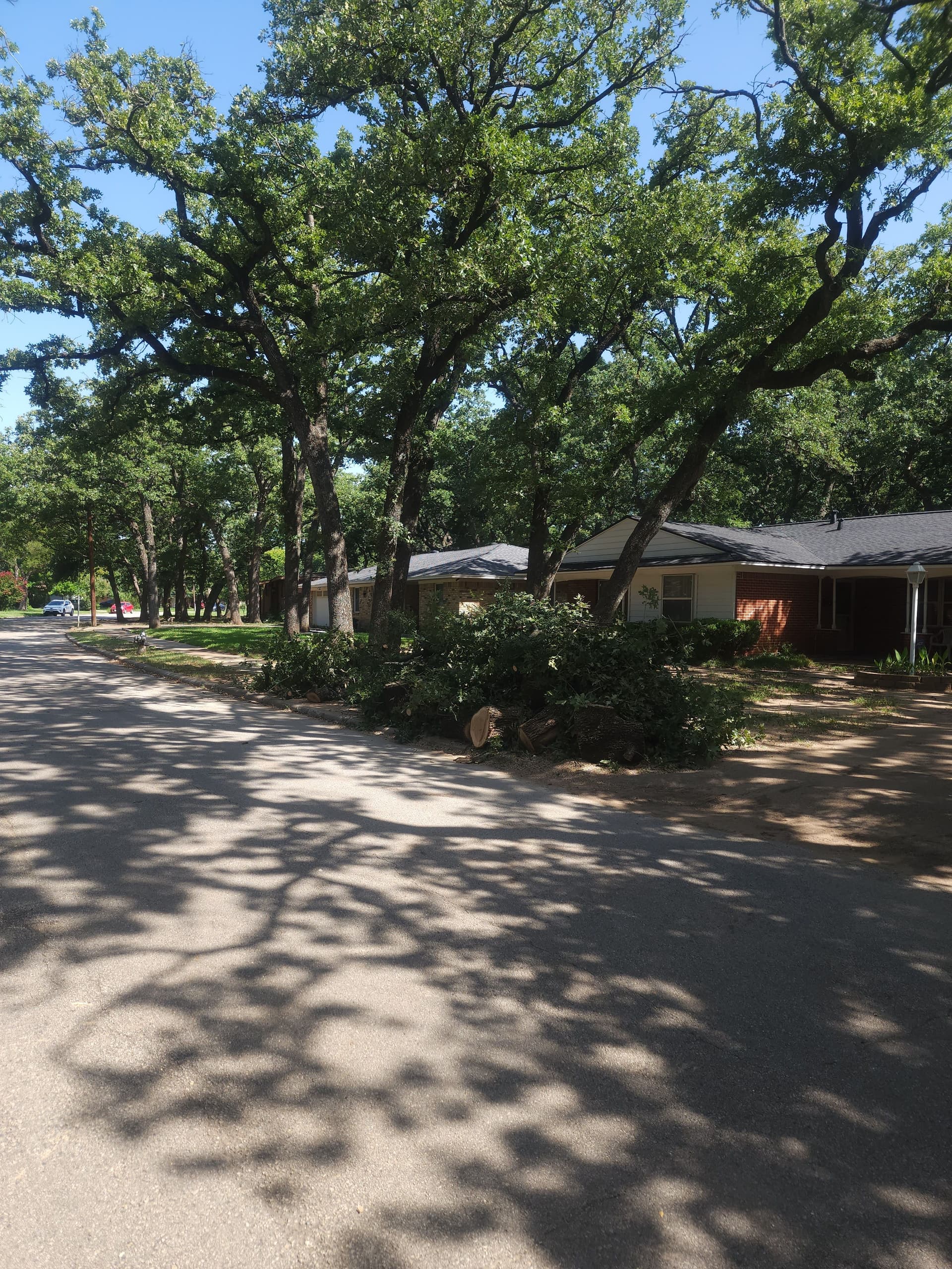 Gallery photos for Post Oak Trimmed Back From the Roofline - City Code Handled: Image #2