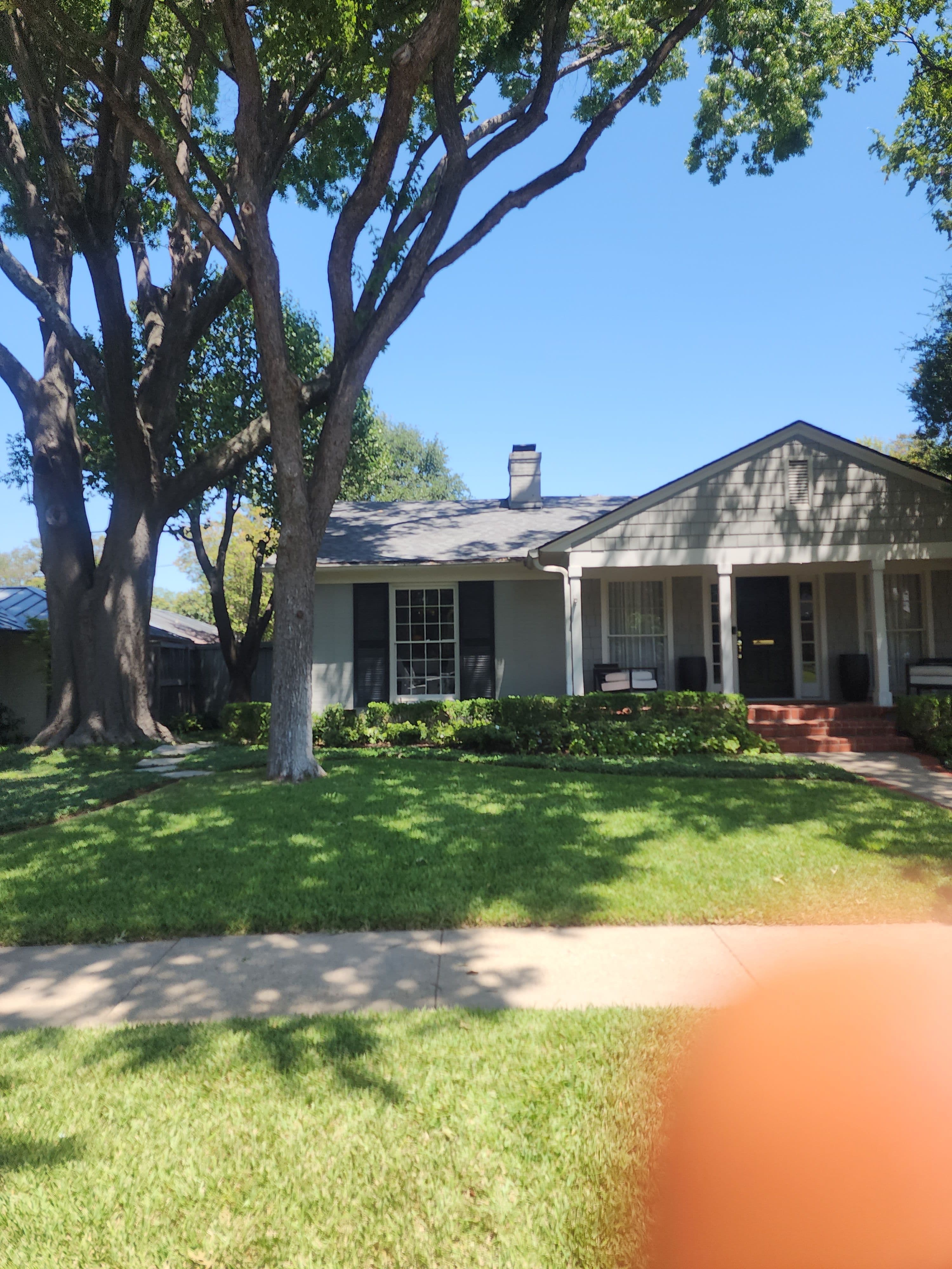 Project Storm Damaged Branch Removed and Yard Cleared Clean image