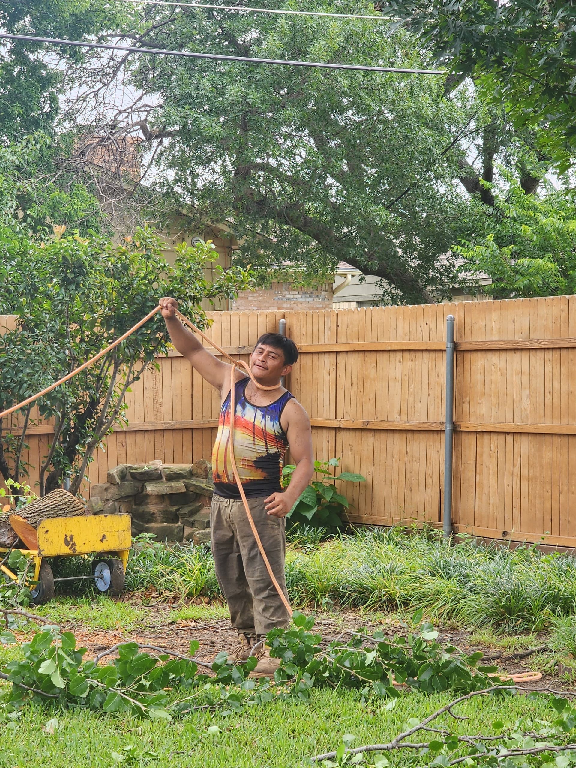 Storm-Damaged Bradford Pear Tree Removal in Irving image