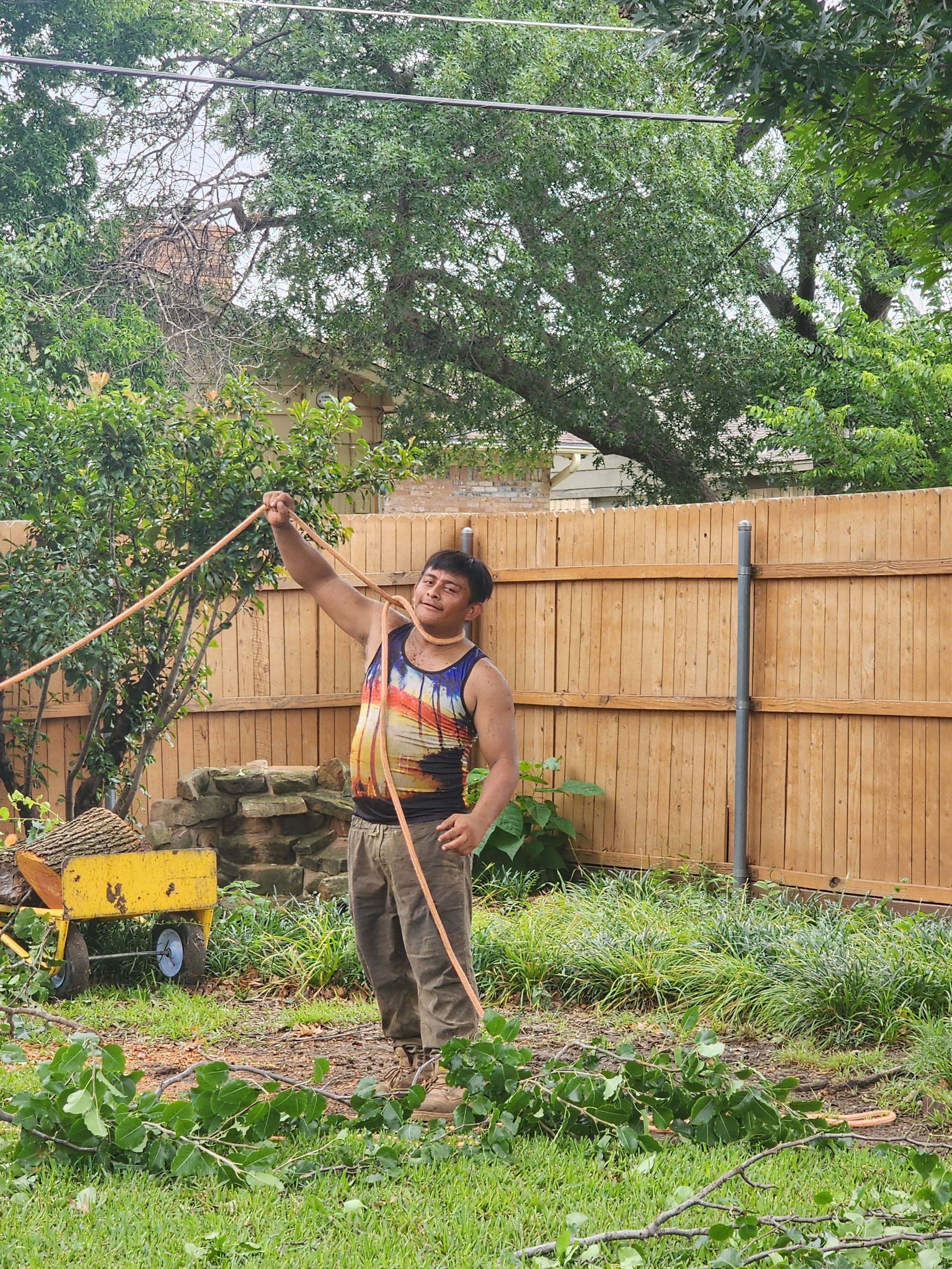Project Storm-Damaged Bradford Pear Tree Removal in Irving image
