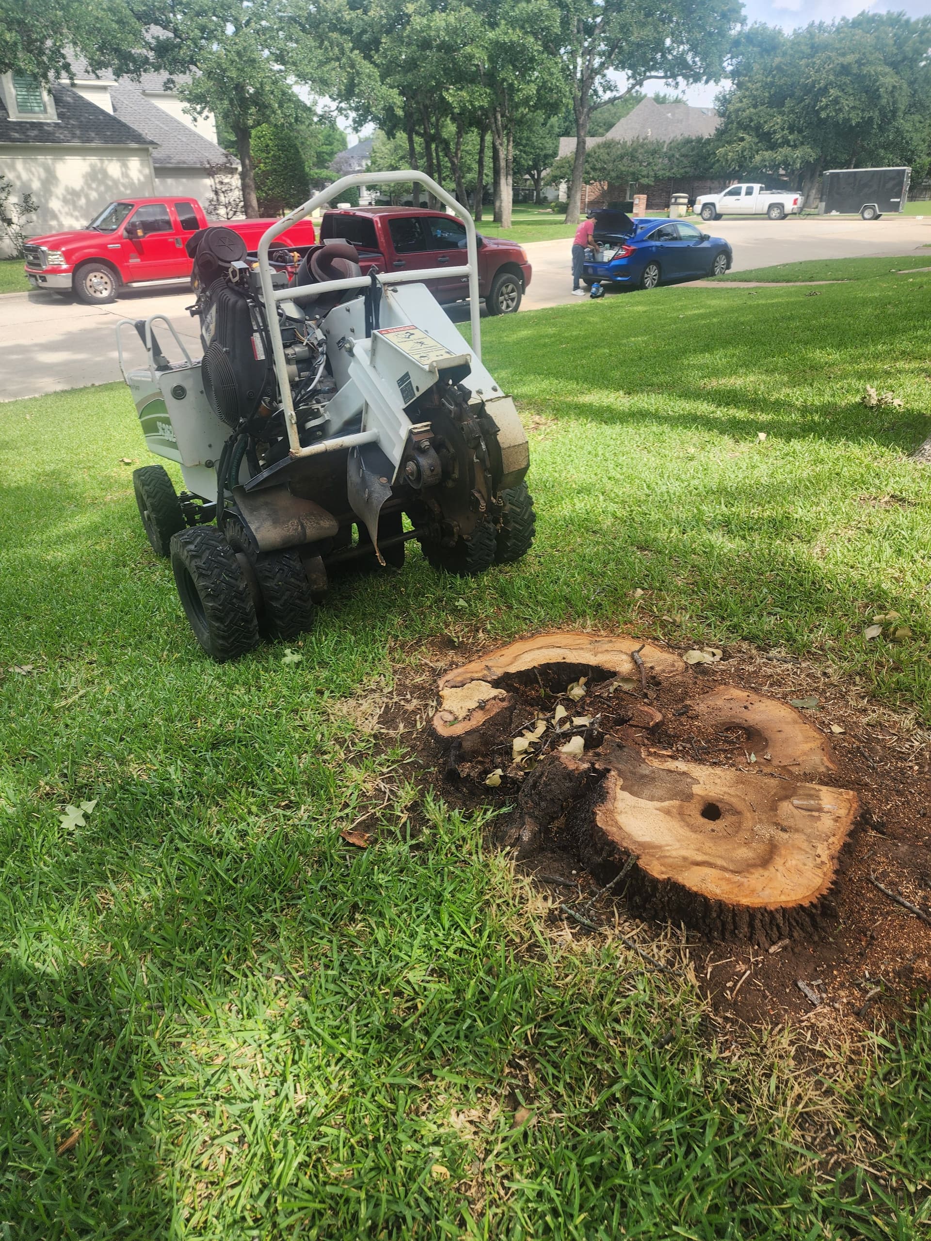 3 Trees Removed and 3 Stumps Ground in Southlake image