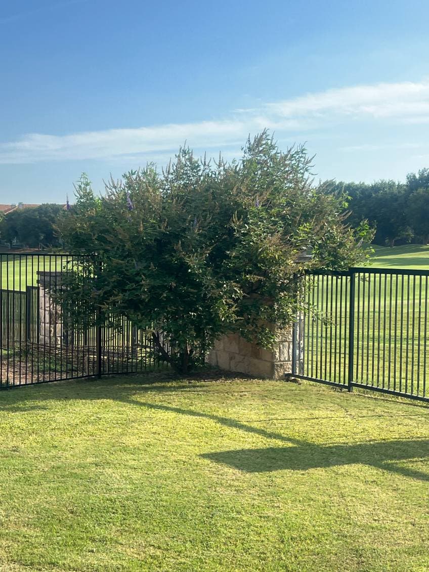 Gallery photos for Backyard Transformation with Tree Trimming: Image #3