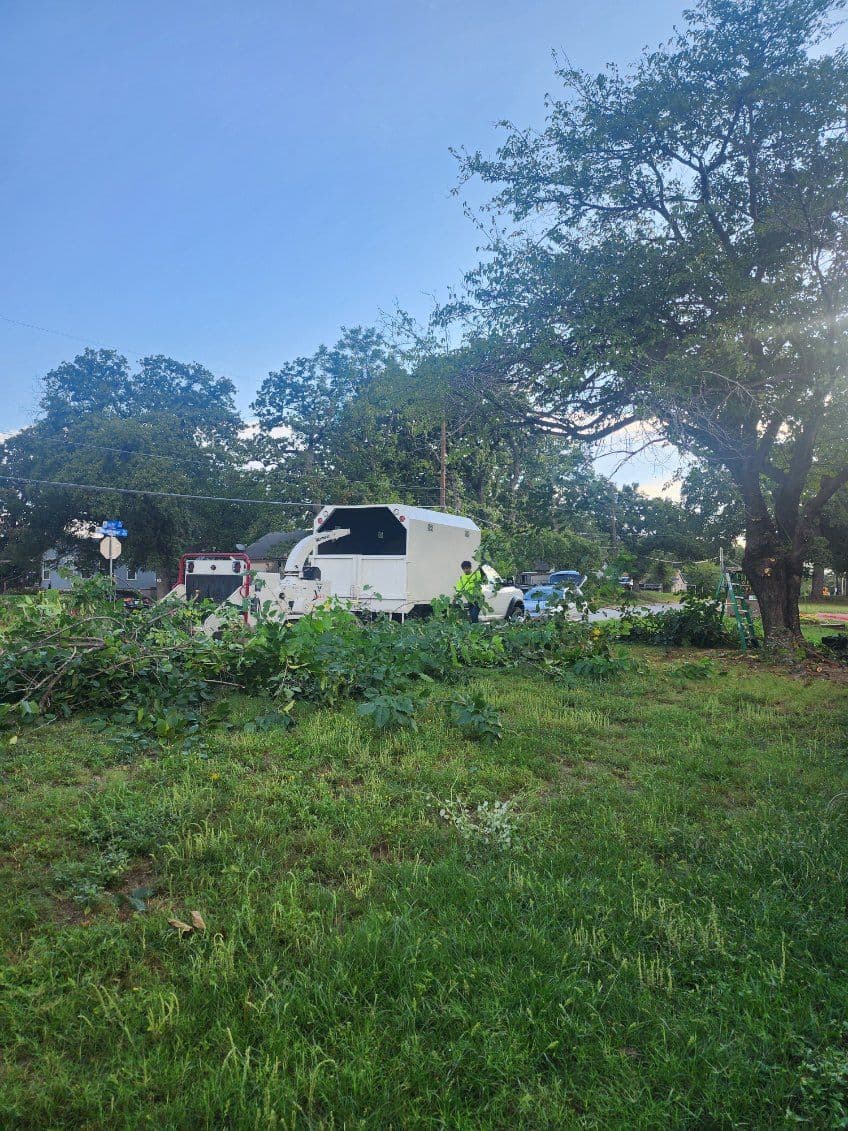 Gallery photos for Expert Tree Trimming at Haltom City Complex: Image #1