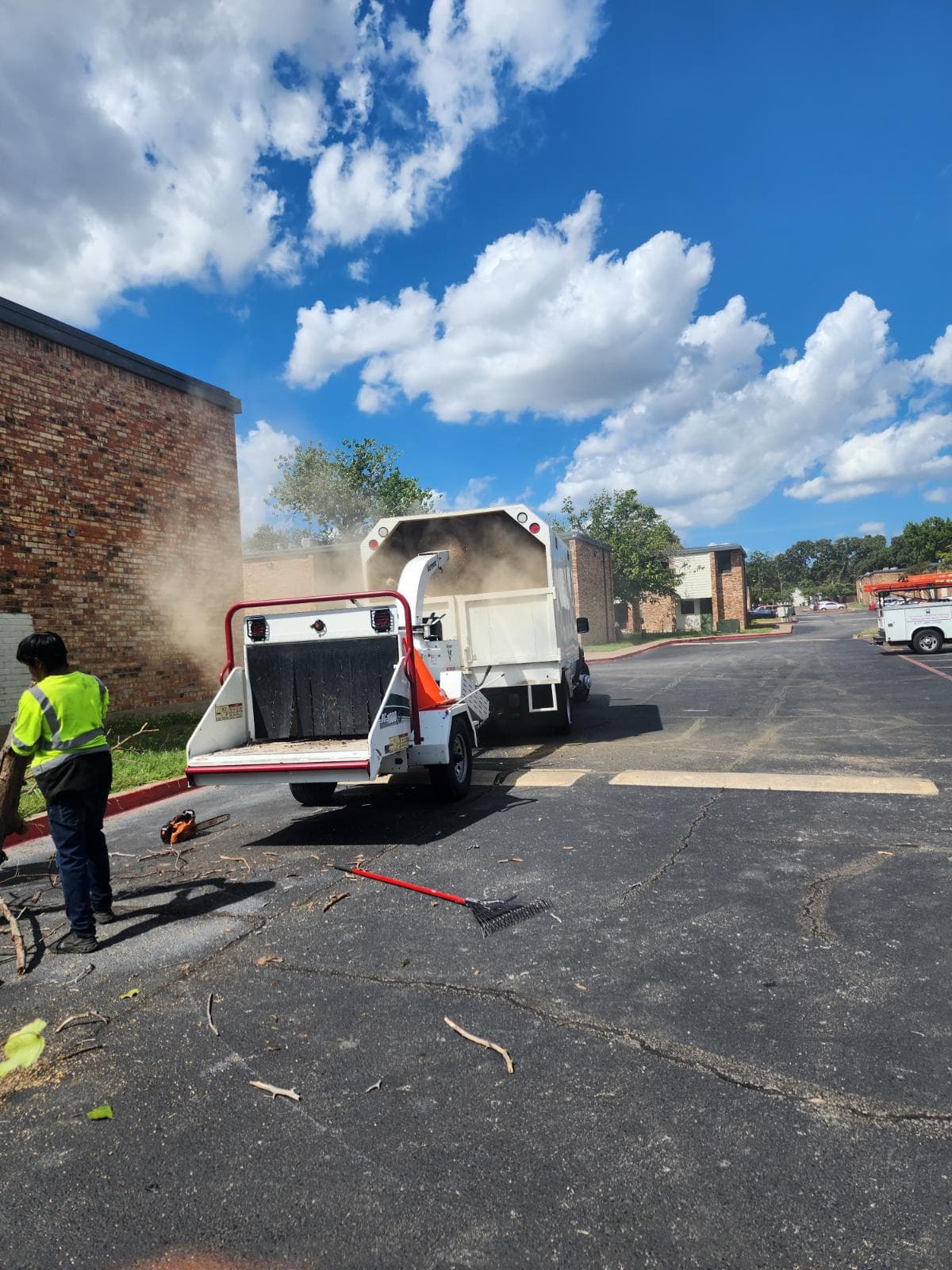 Gallery photos for Expert Tree Trimming at Haltom City Complex: Image #2