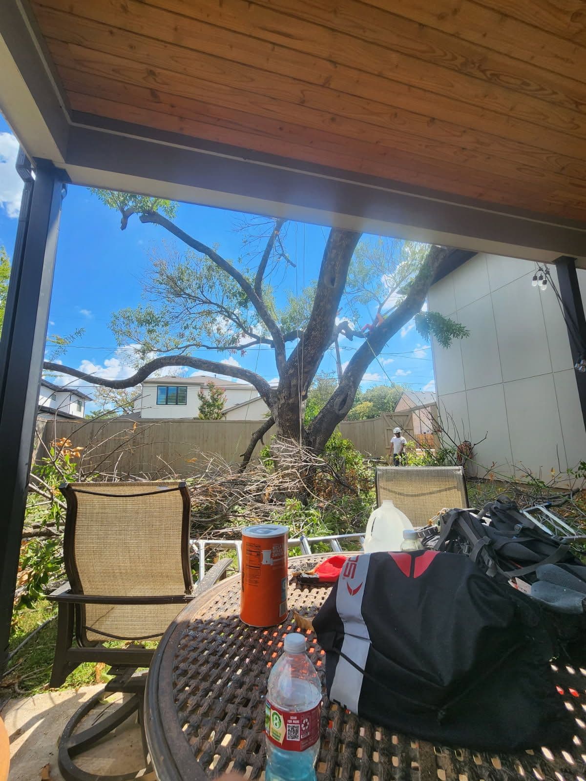 Gallery photos for Efficient Tree Removal in Dallas: Image #1