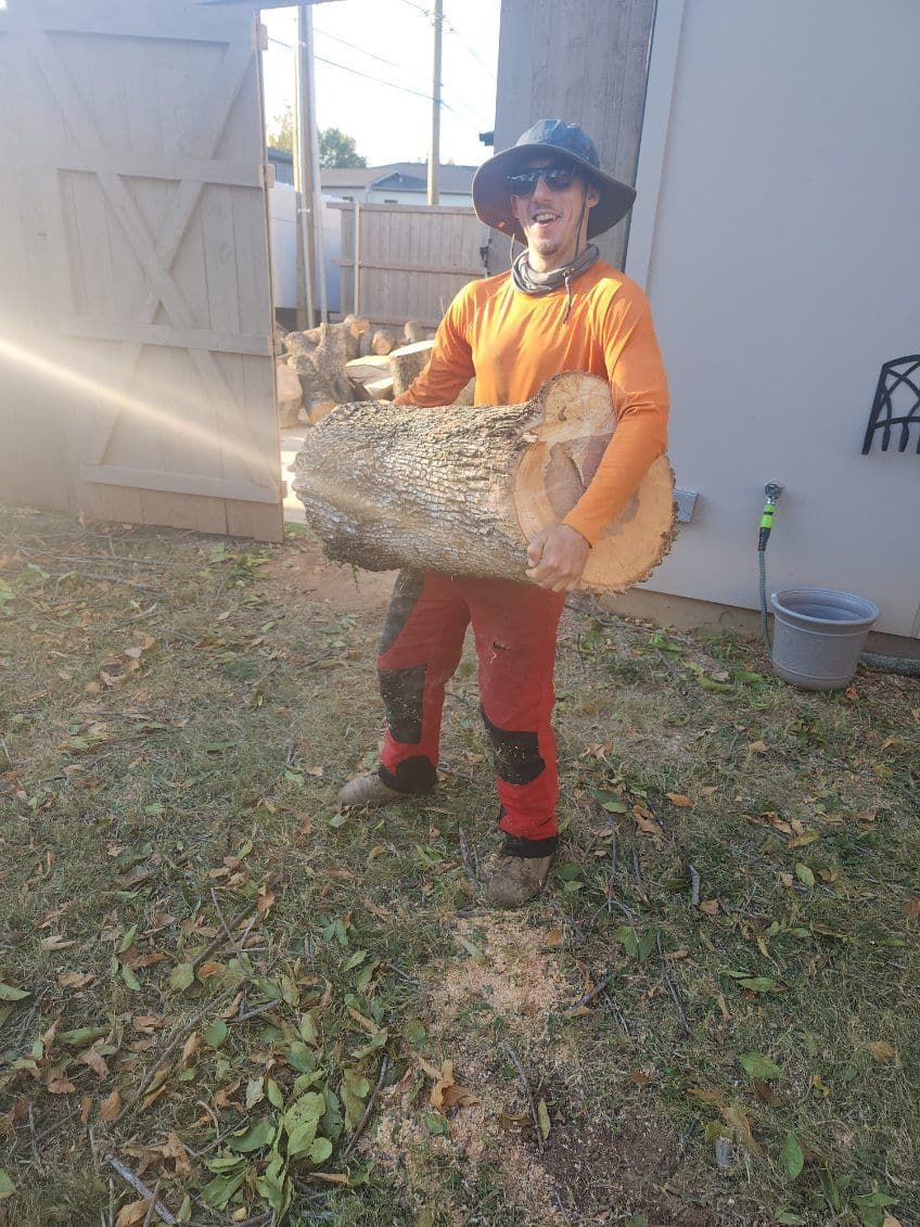 Gallery photos for Expert Tree Removal in Grand Prairie: Image #3