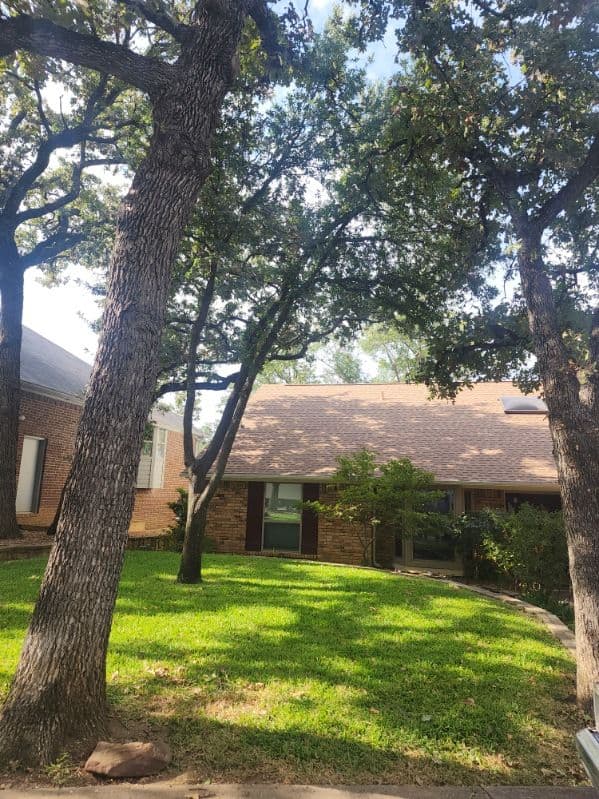 Gallery photos for Tree Pruning and Chipping in Arlington TX: Image #3