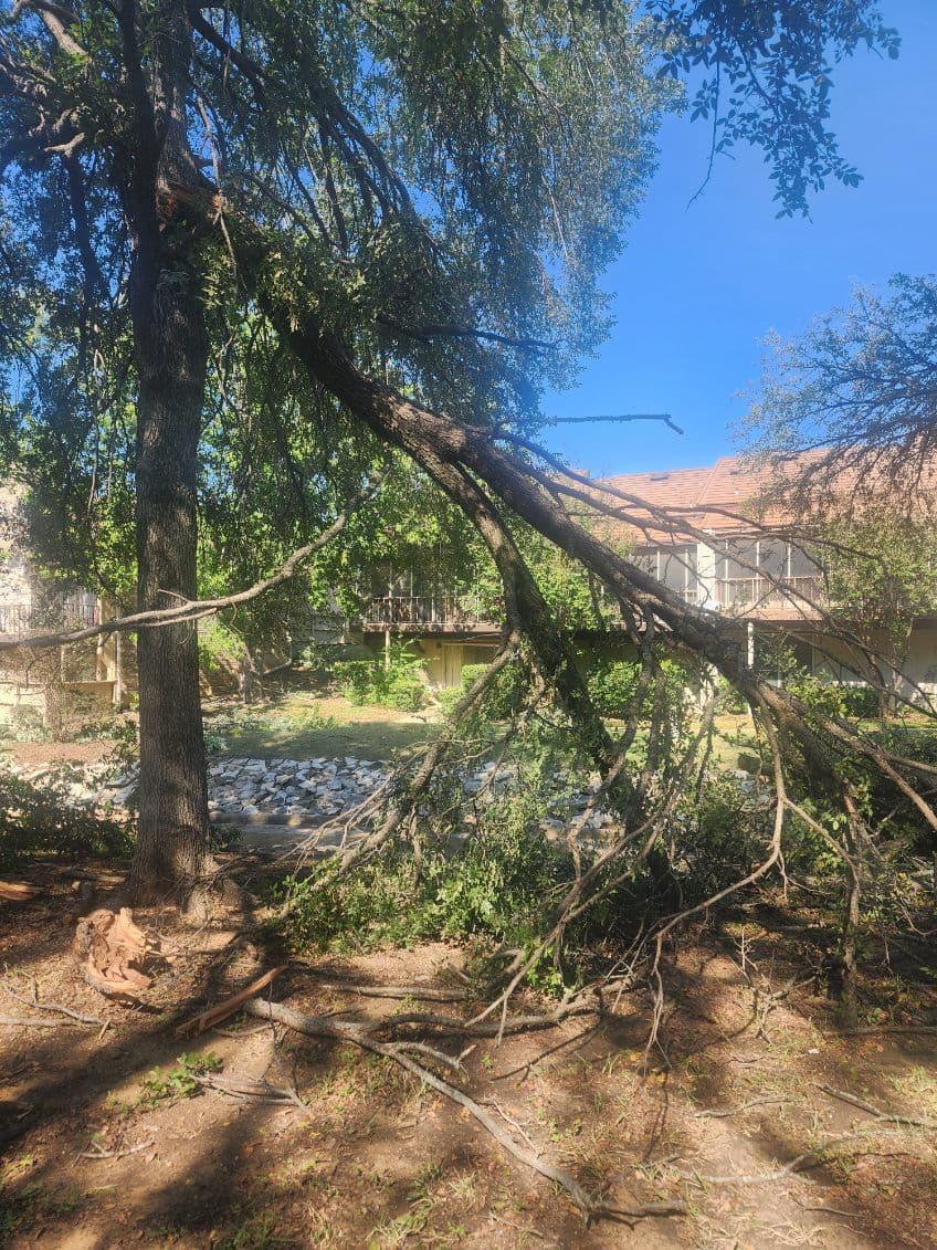 Project Storm Damage Relief in Dallas TX image