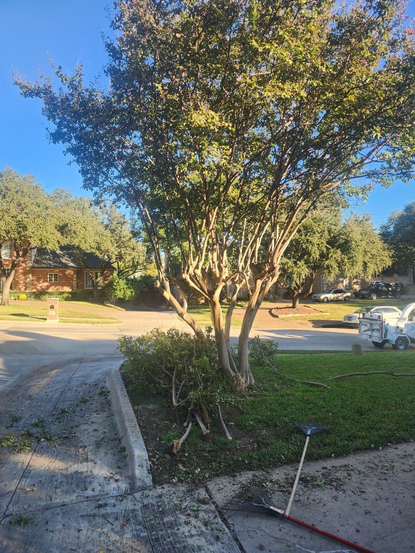 Gallery photos for Storm Damage Relief in Dallas TX: Image #2