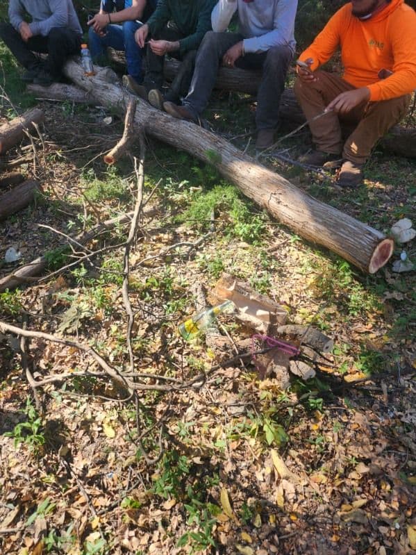 Project Comprehensive Tree Service Project in North Dallas image