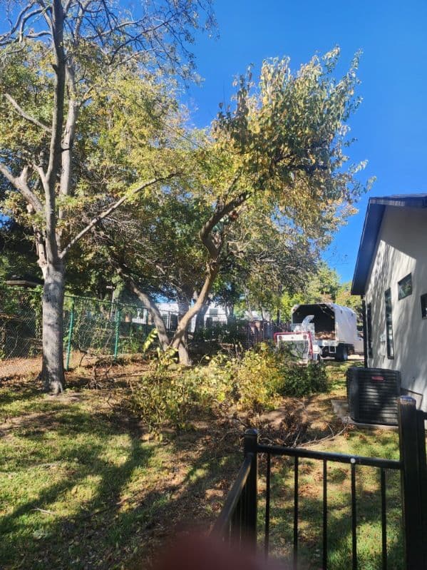 Gallery photos for Comprehensive Tree Service Project in North Dallas: Image #1