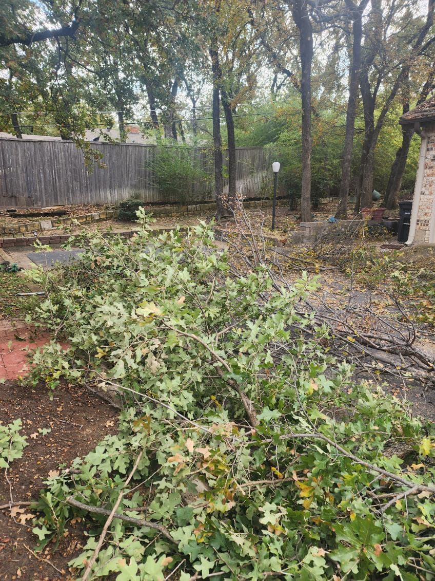 Gallery photos for Tree and Stump Cleanup in Dallas: Image #1