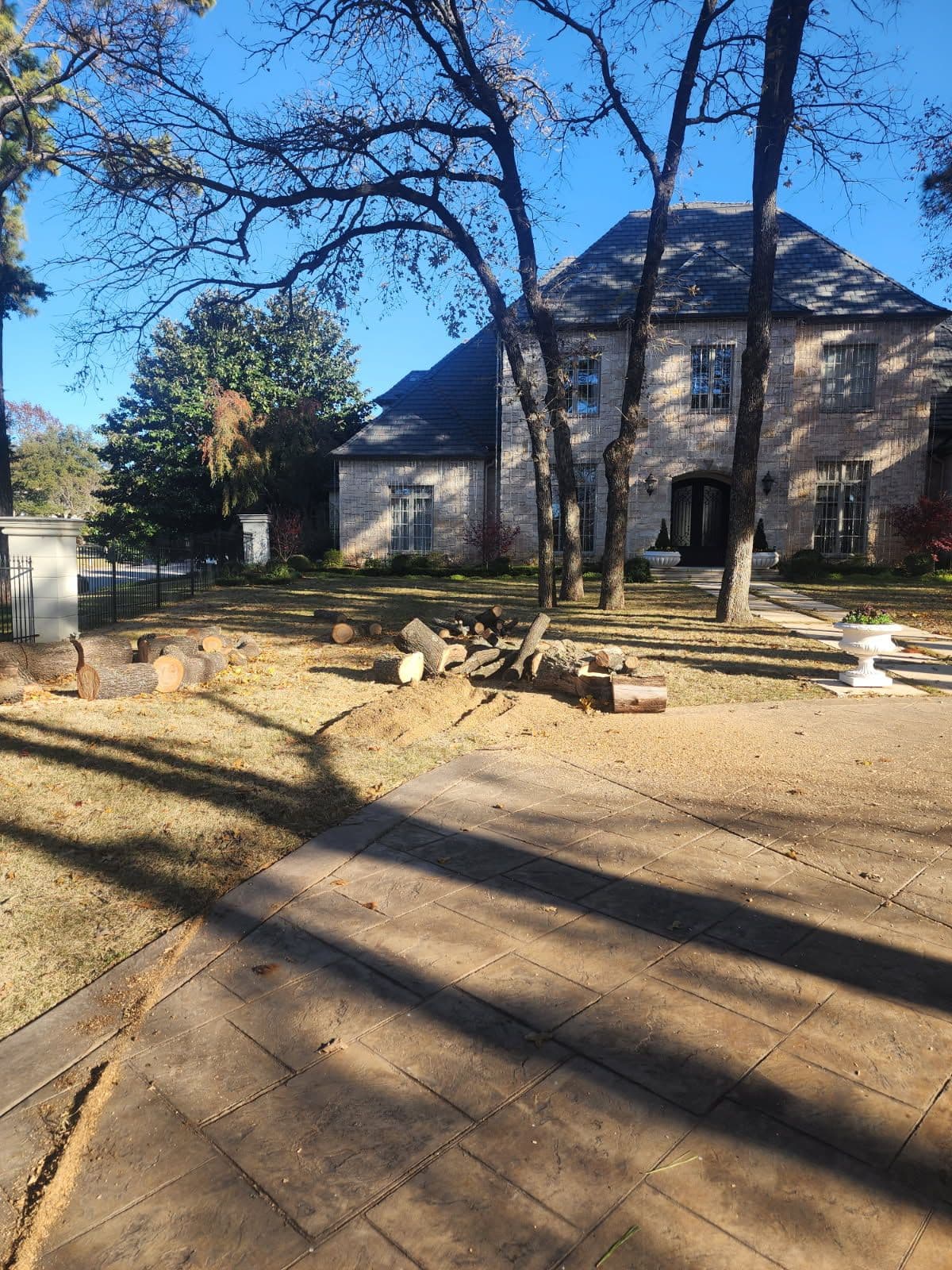 Project Tree Removal and Stump Grinding in Southlake TX image