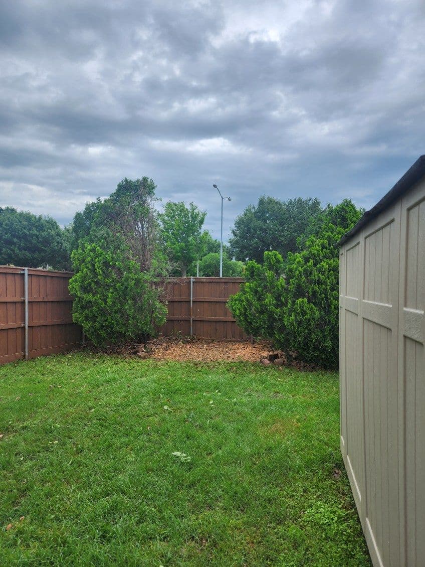 Project Effortless Tree Transformations in Lewisville image