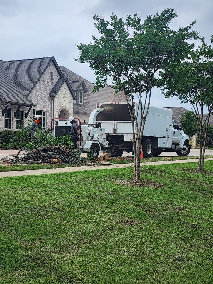 Successful Tree Removal in Arlington TX image