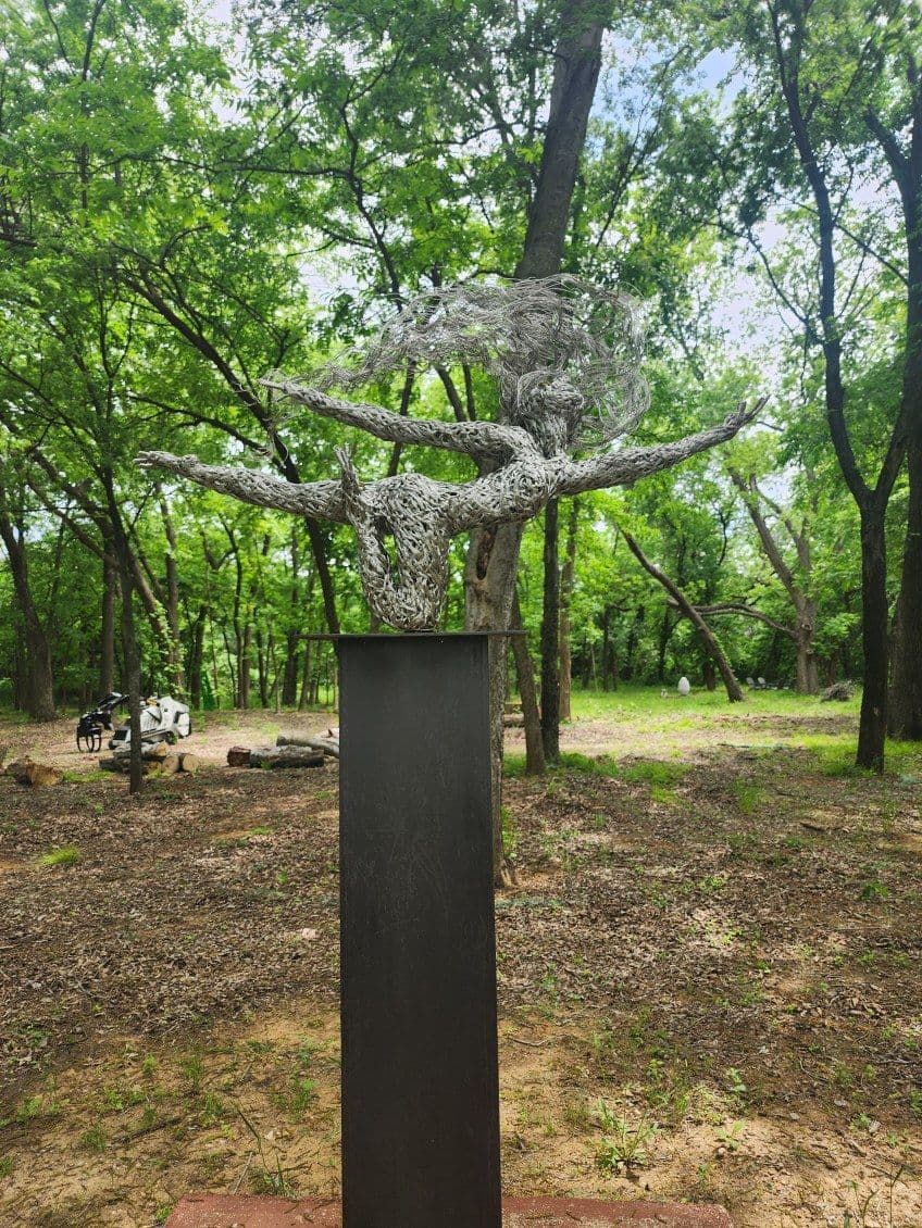 Gallery photos for Successful Tree Removal in Arlington TX: Image #2