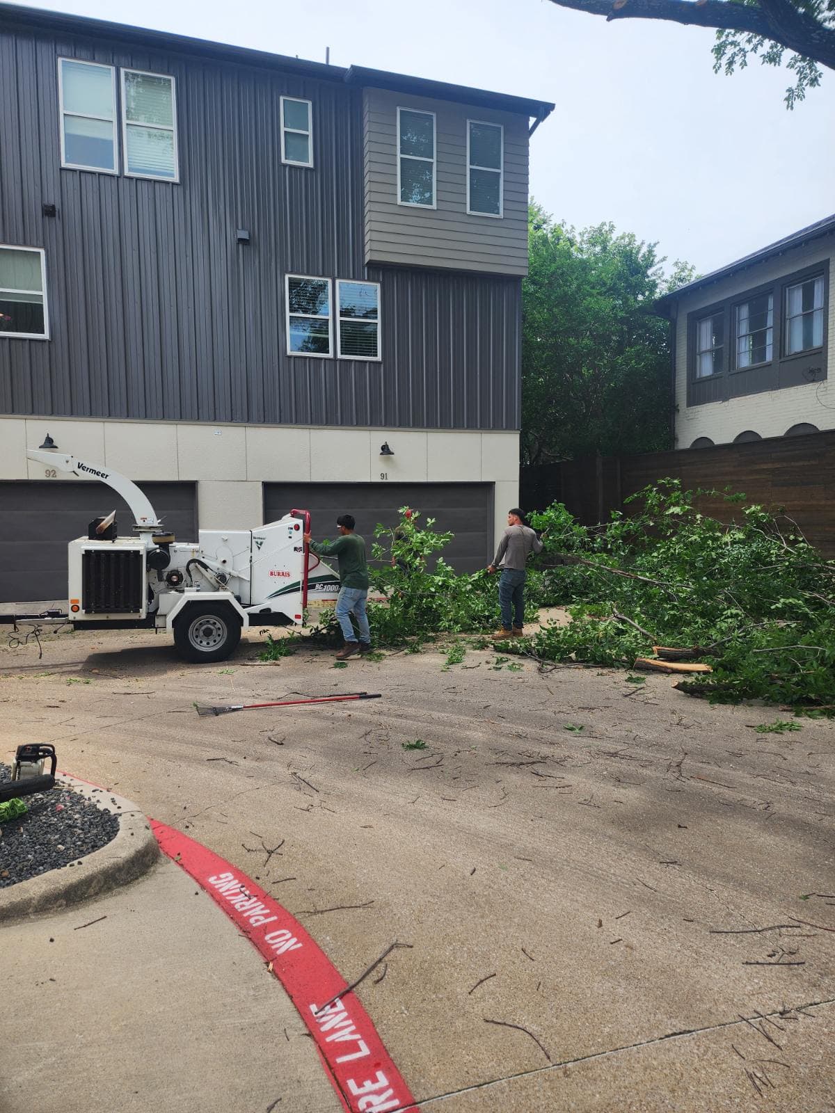 Expert Tree Trimming in North Dallas