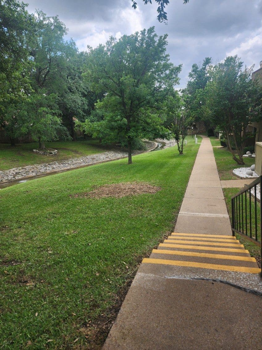 Ft. Worth Tree Trimming and Lush Landscaping image
