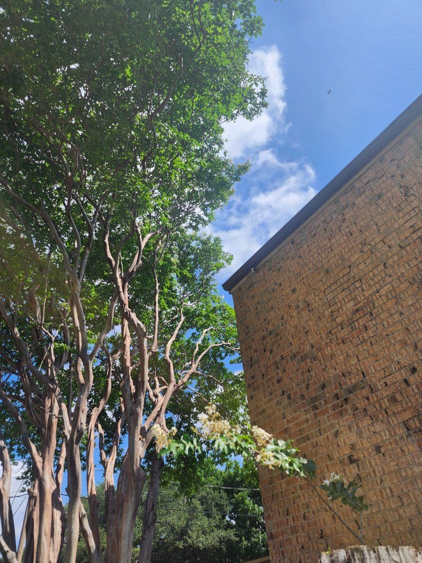 Gallery photos for Ft. Worth Tree Trimming and Lush Landscaping: Image #1
