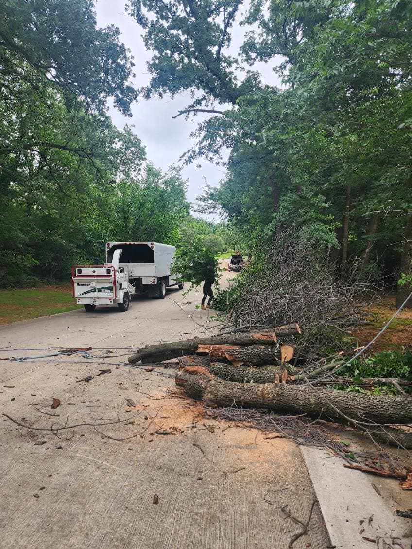 Precise Tree Removal Services in Flower Mound image