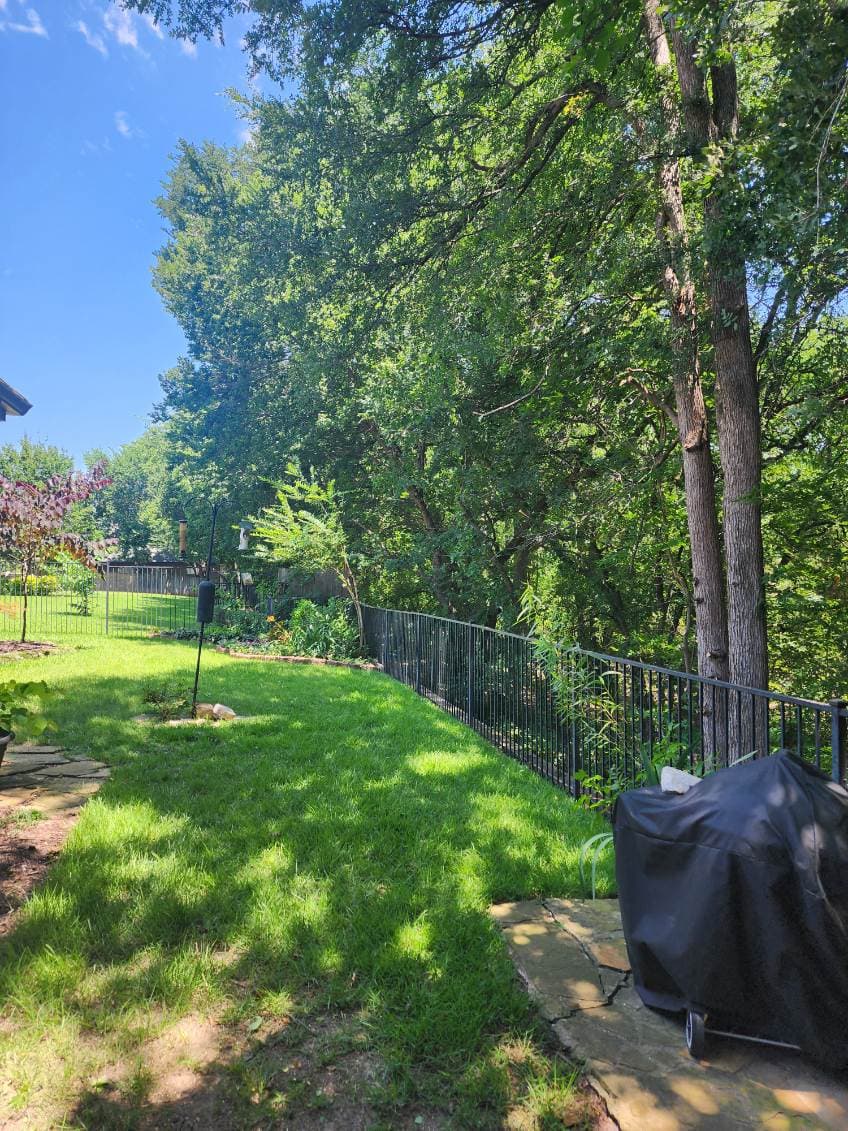 Enhance Your Yard with Expert Tree Trimming image