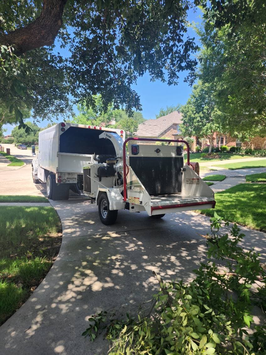 Gallery photos for Enhance Your Yard with Expert Tree Trimming: Image #2